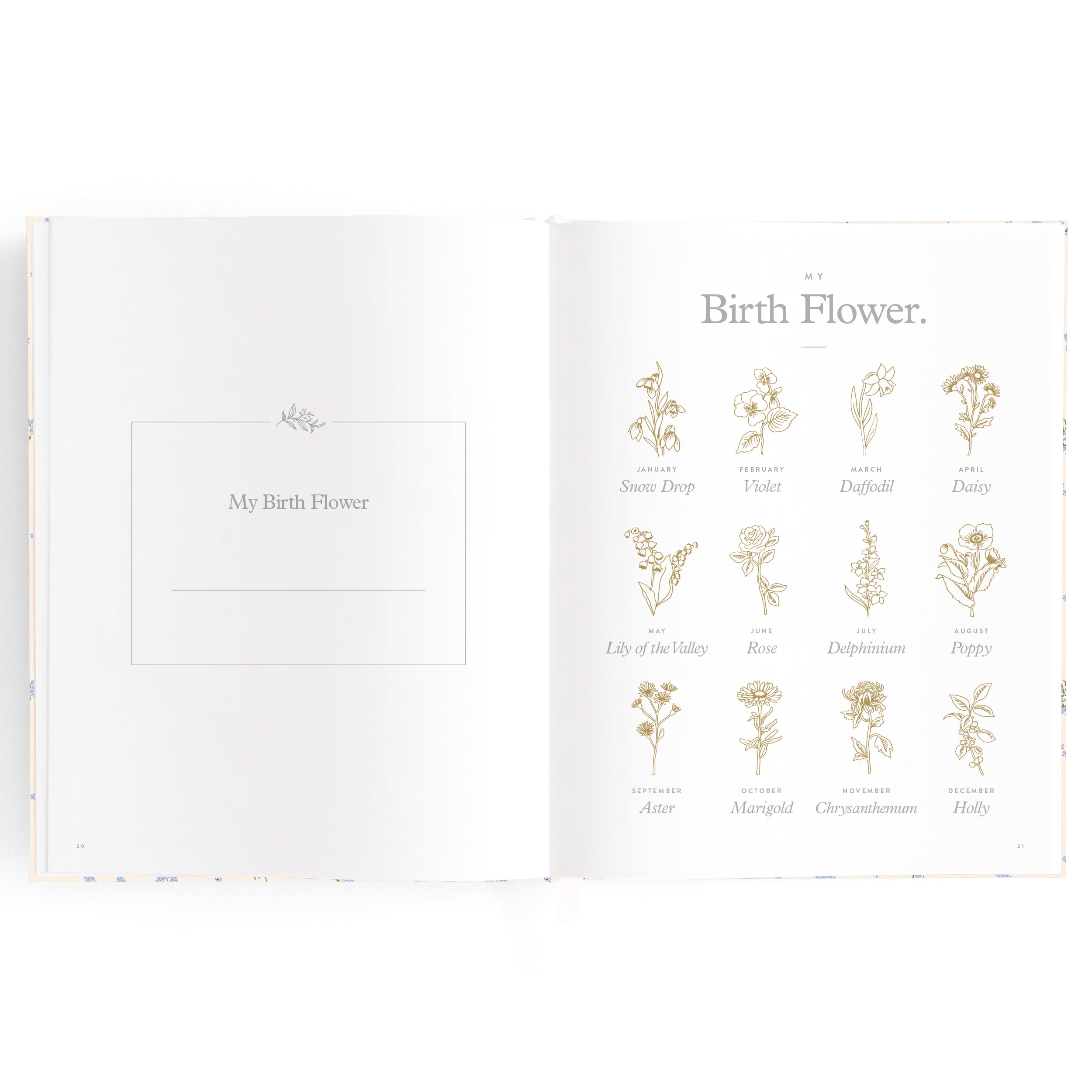 Baby Book Bellflower - 3rd Edition - PRE-ORDER (MAY)