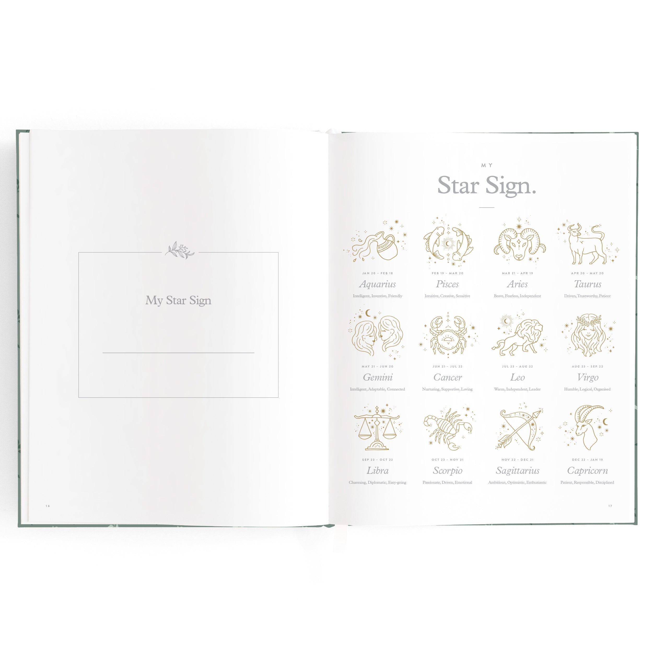 Baby Book Pine - SECONDS