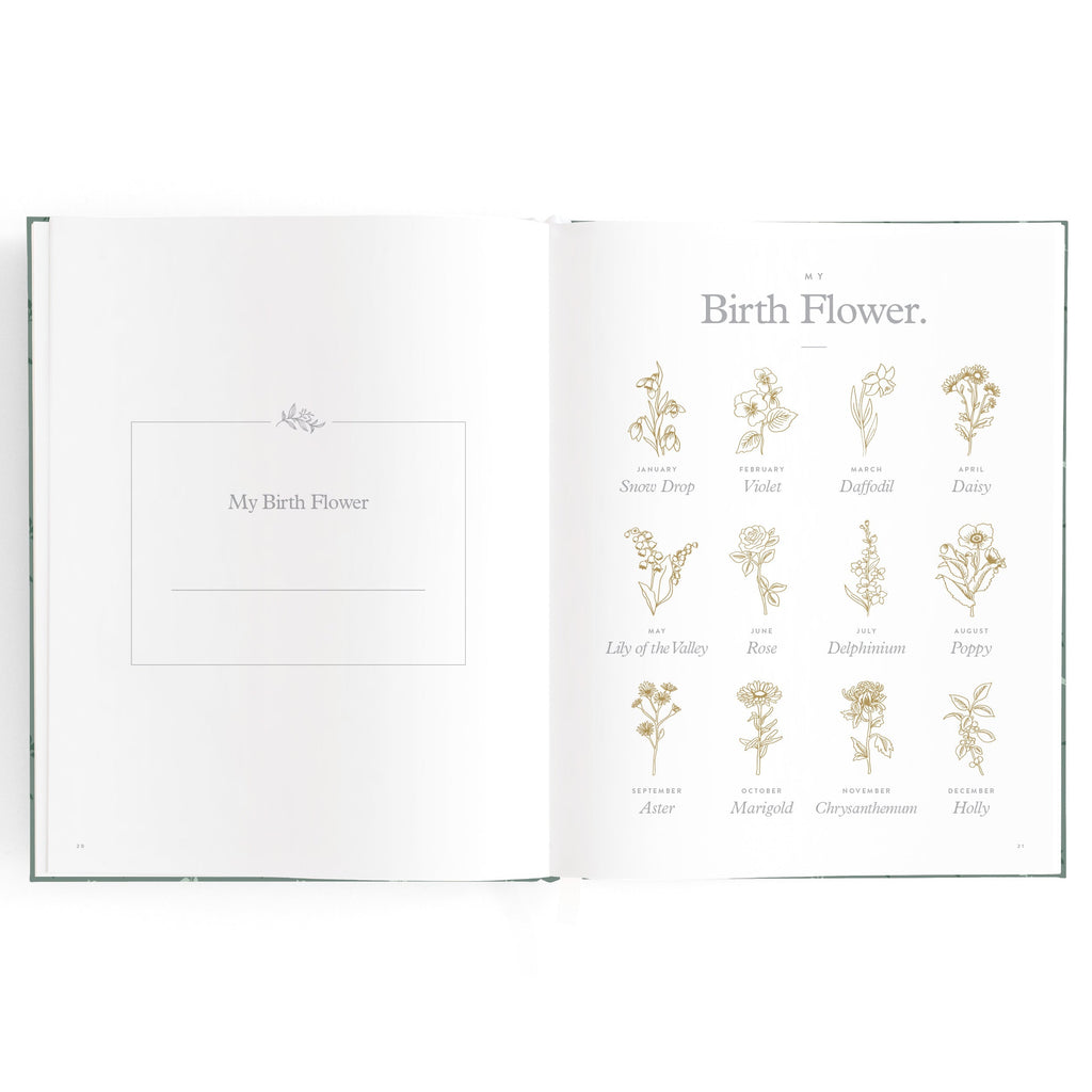 Baby Book Pine - SECONDS