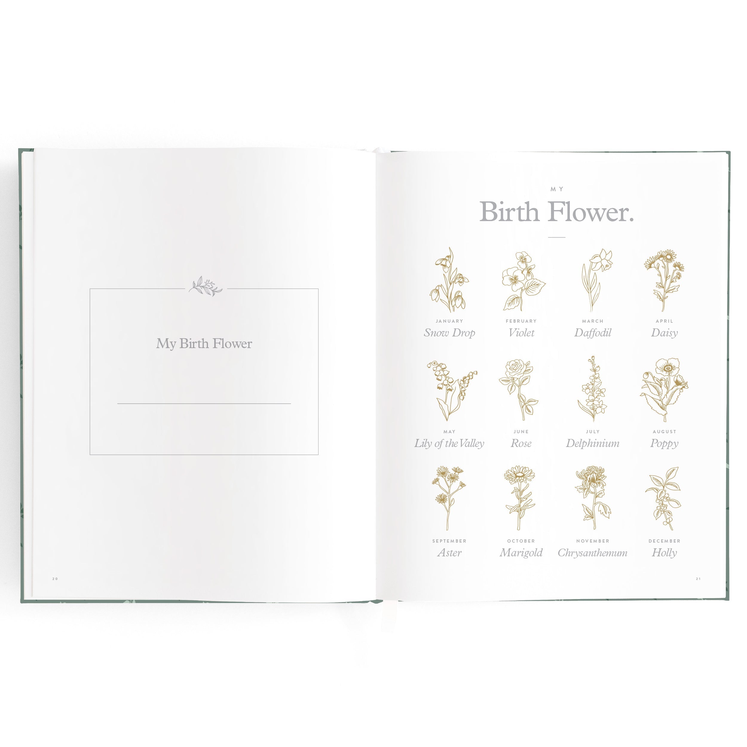 Baby Book Pine - SECONDS