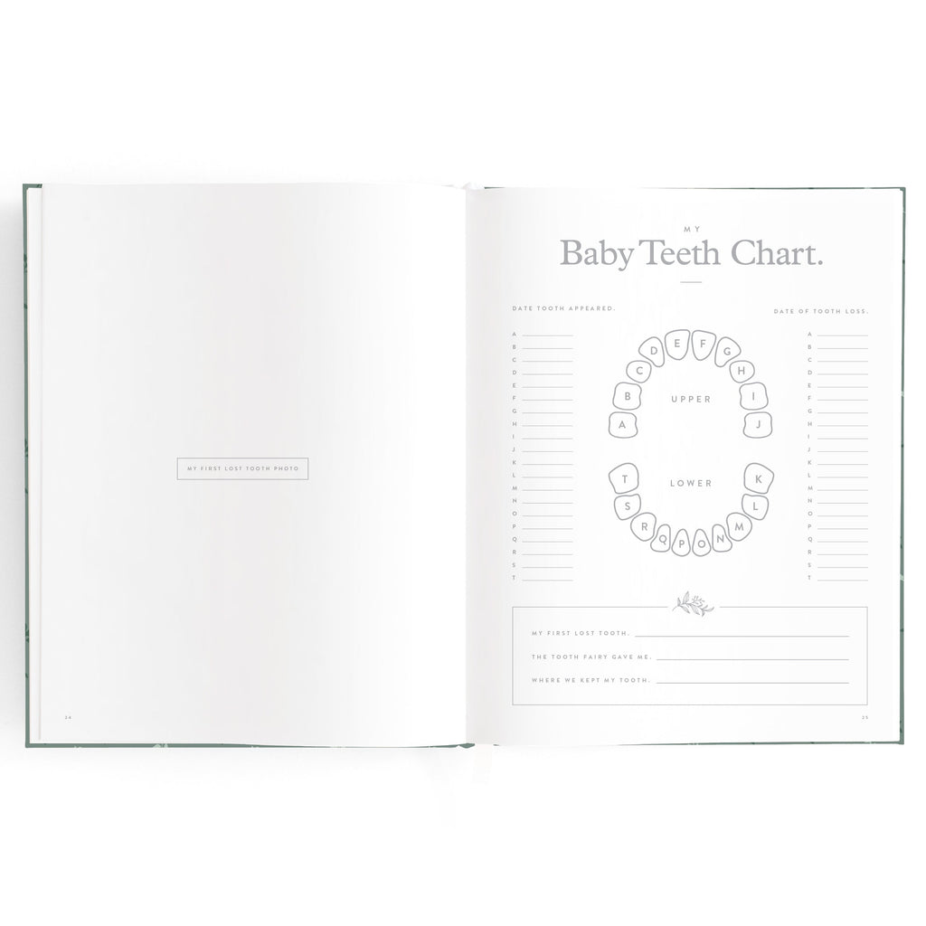 Baby Book Pine - SECONDS