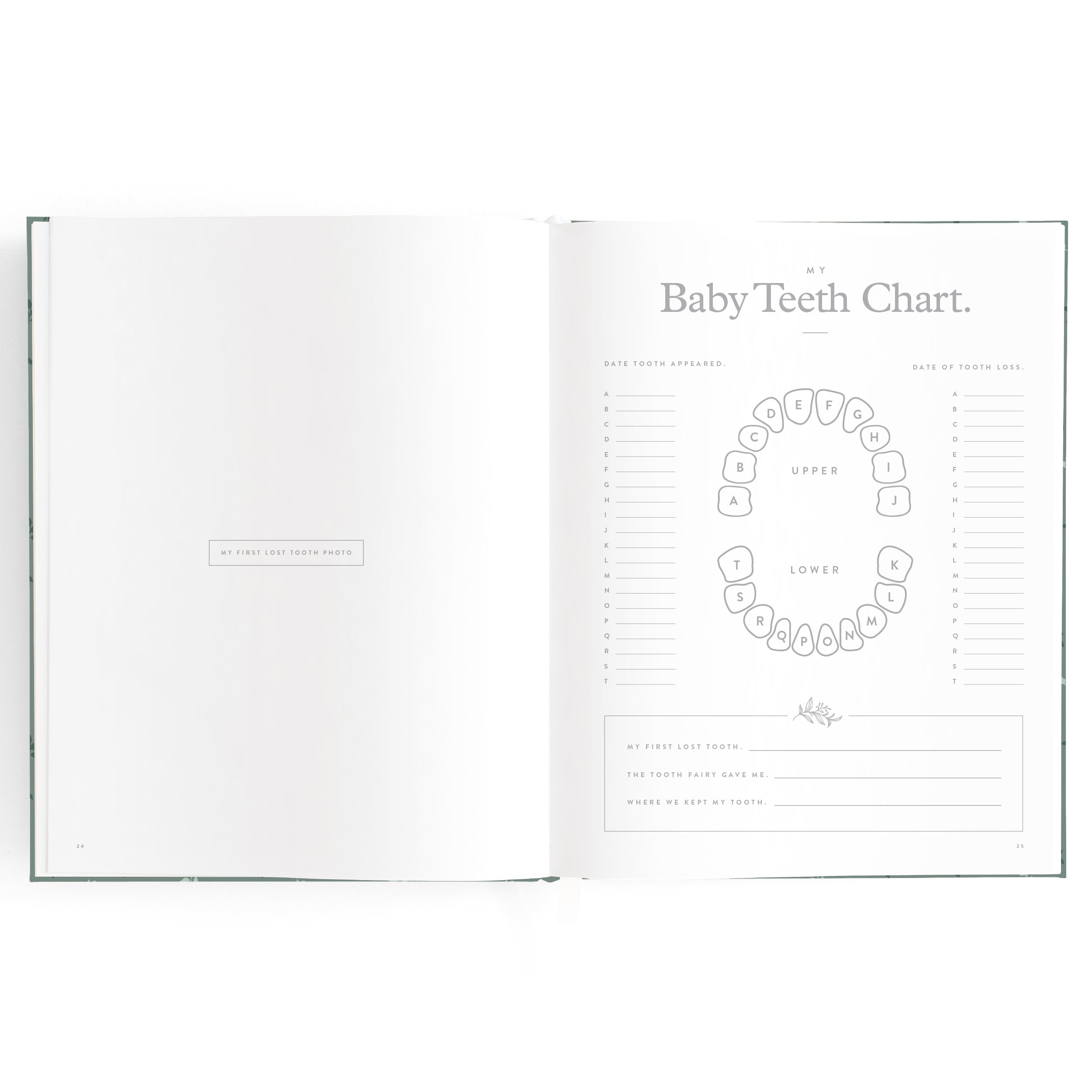 Baby Book Pine - SECONDS