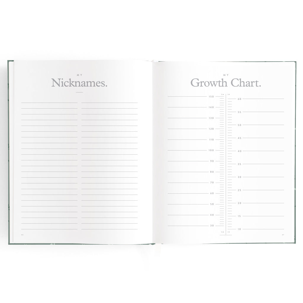 Baby Book Pine Boxed