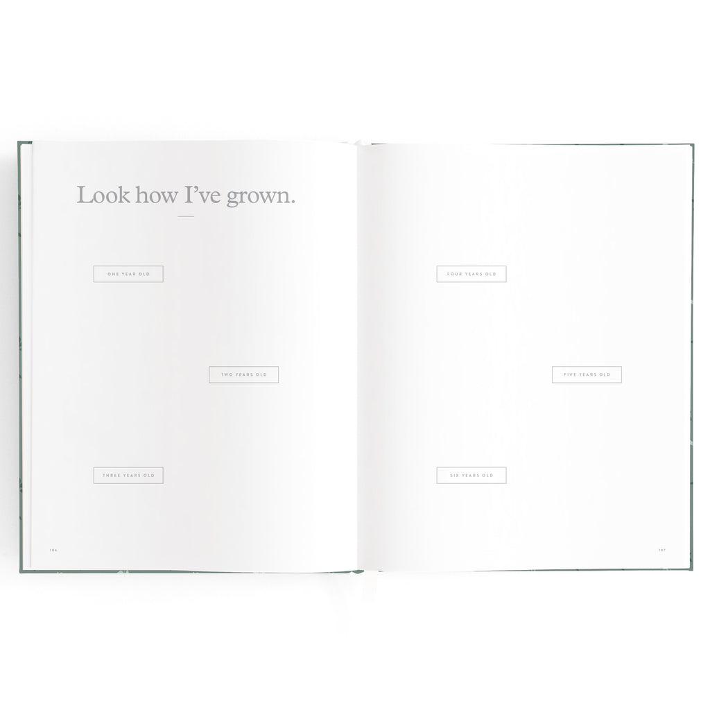 Baby Book Pine Boxed