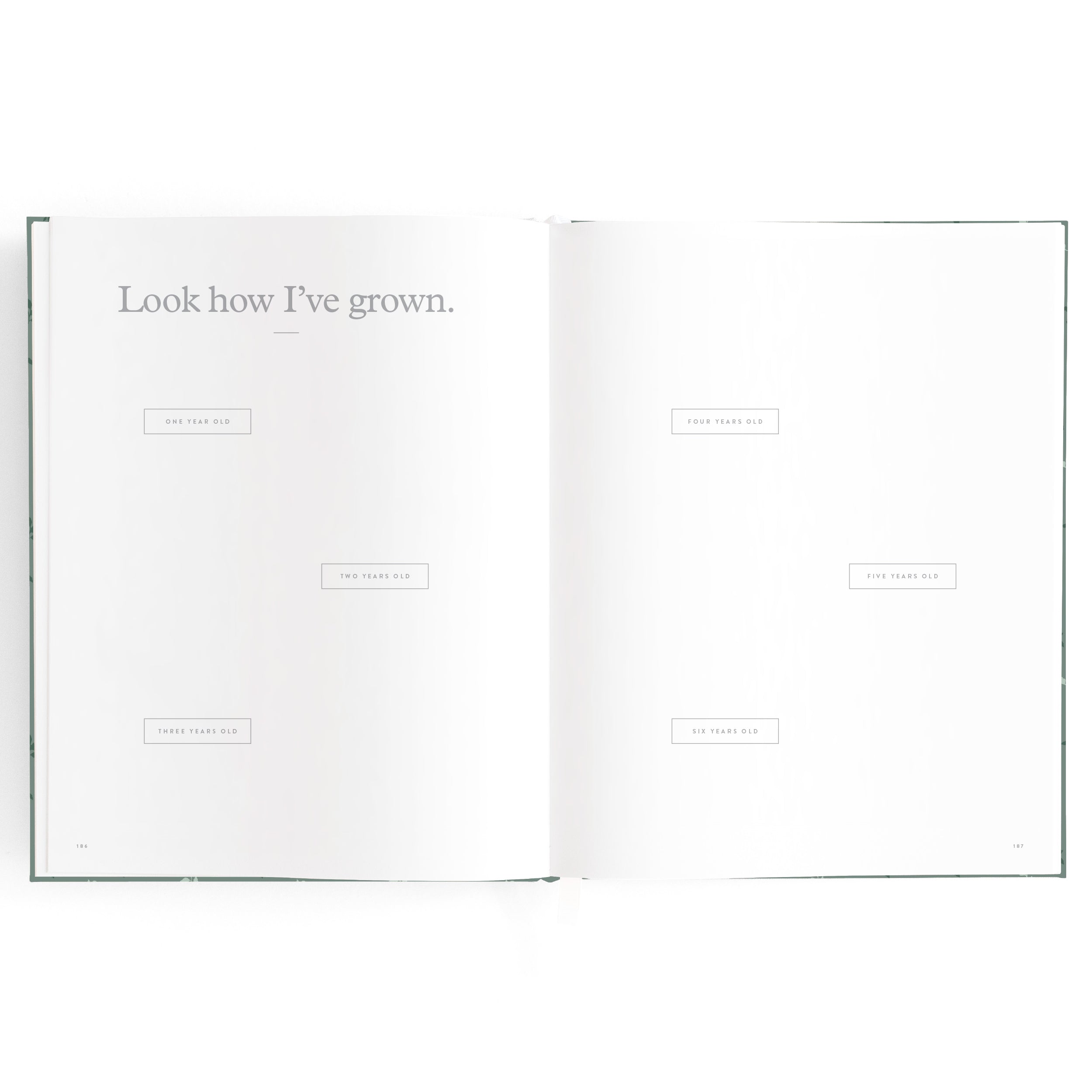 Baby Book Pine Boxed