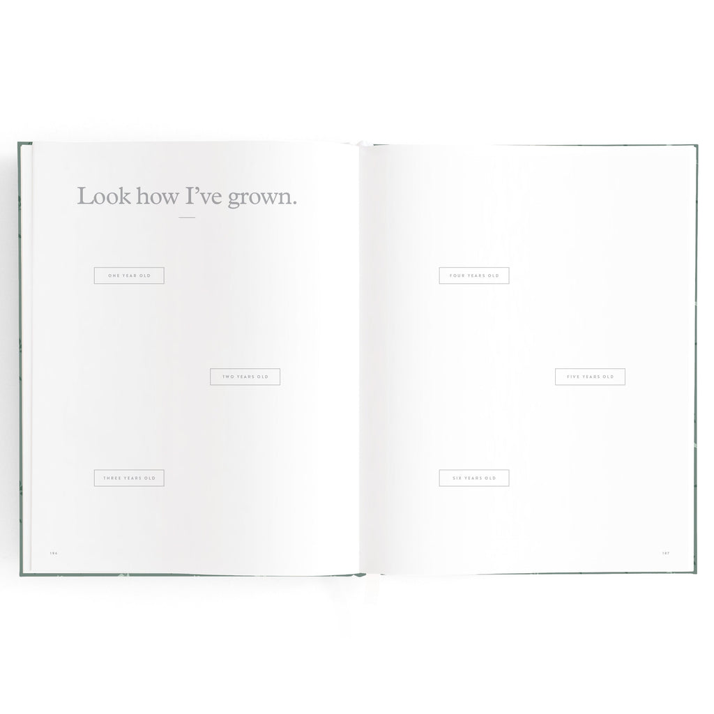 Baby Book Pine - SECONDS