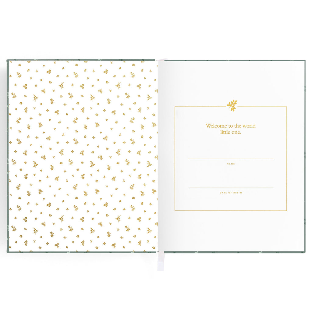 Baby Book Pine - SECONDS