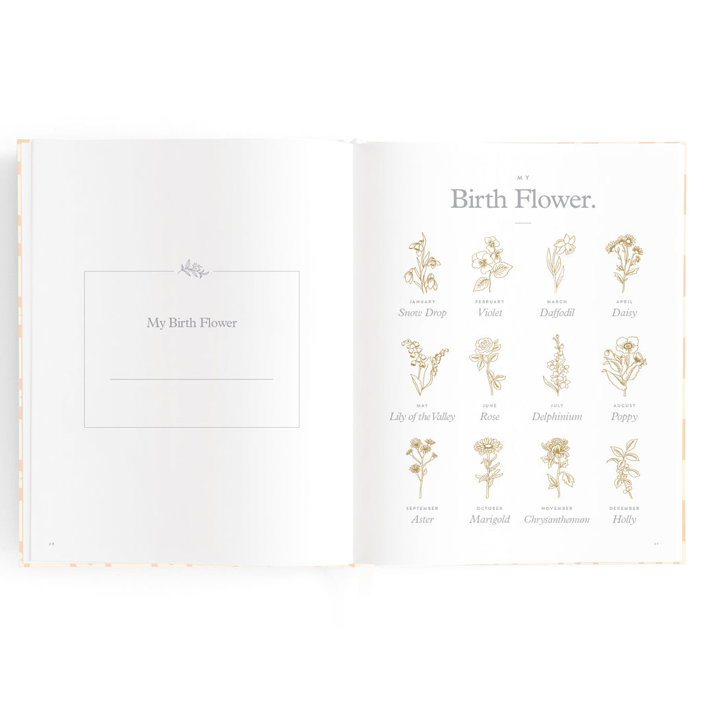 Baby Book Daisy Grid