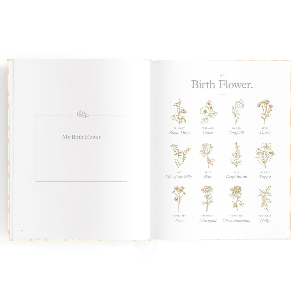 Baby Book Daisy Grid - SECONDS