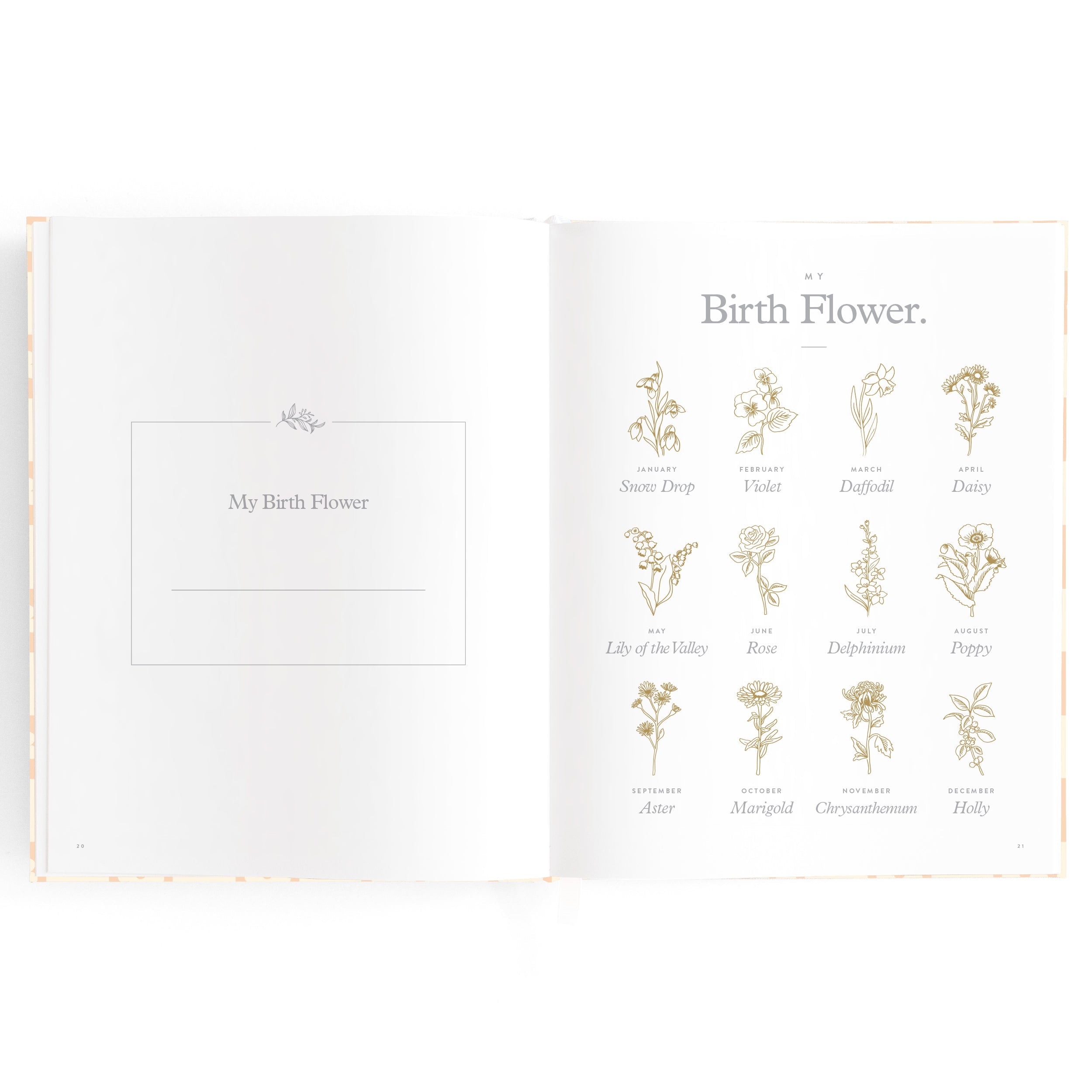 Baby Book Daisy Grid - SECONDS