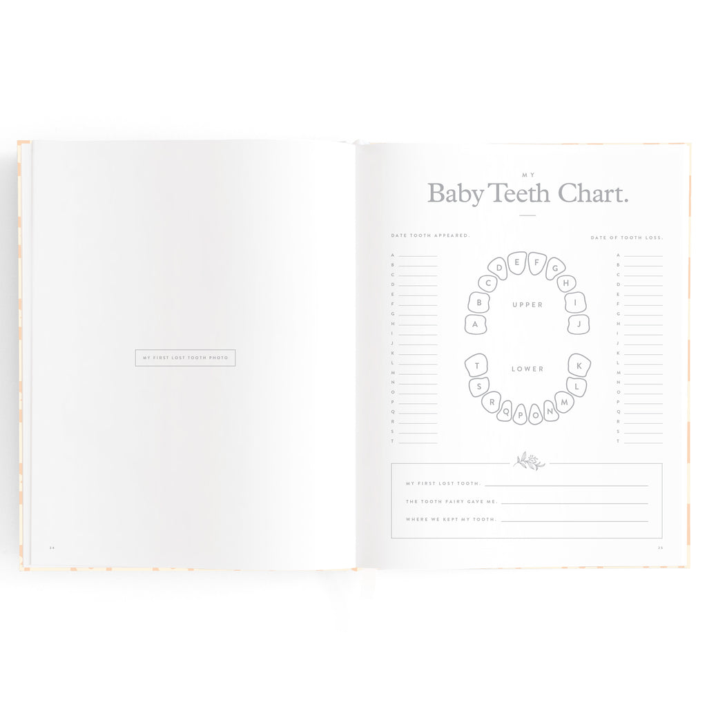 Baby Book Daisy Grid