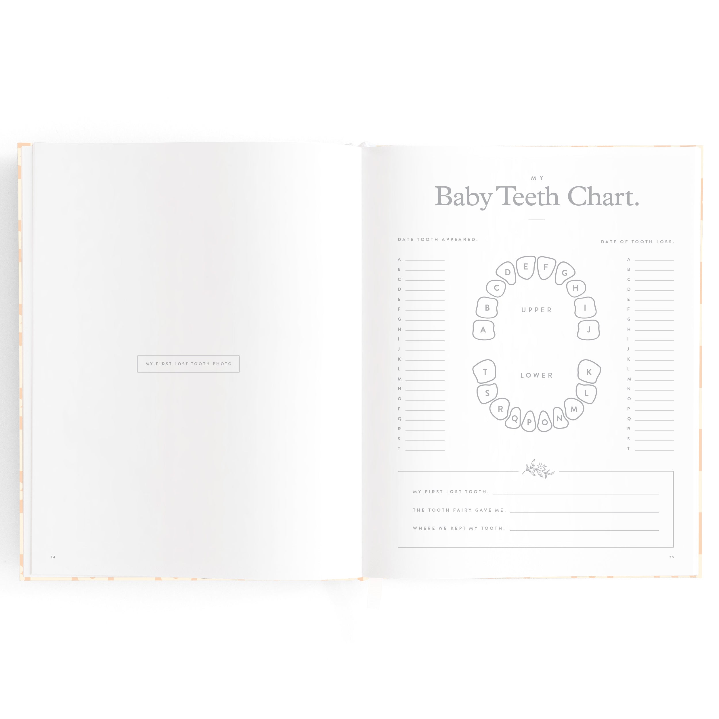 Baby Book Daisy Grid