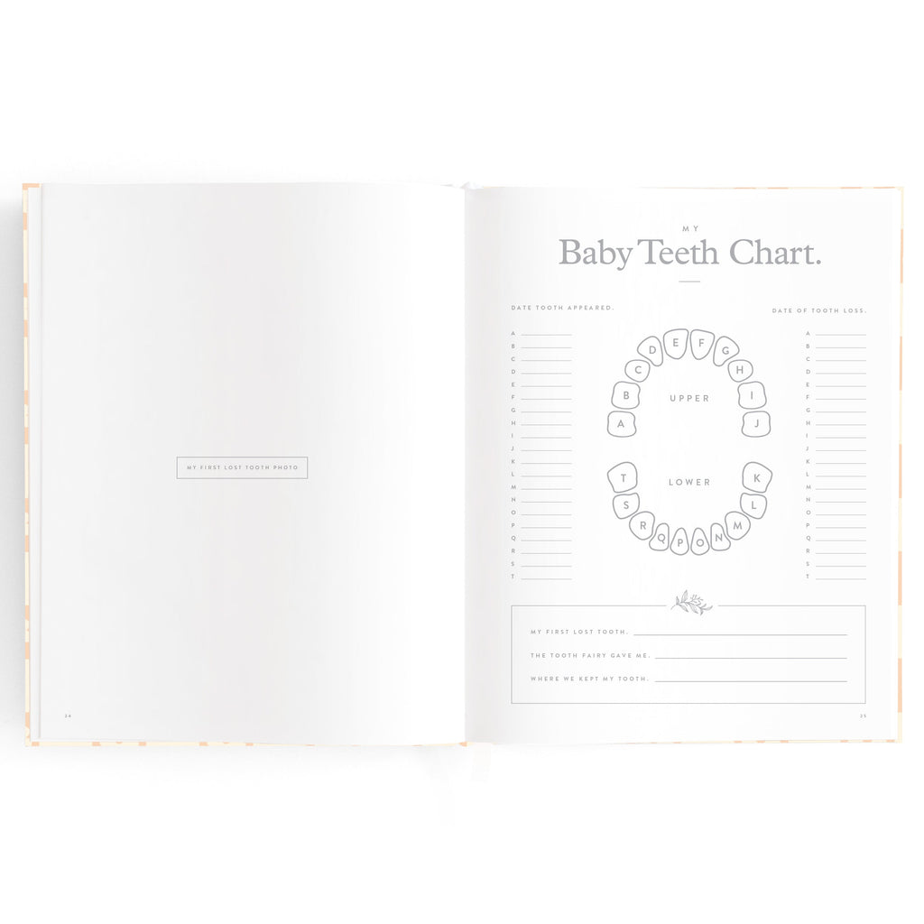 Baby Book Daisy Grid Boxed