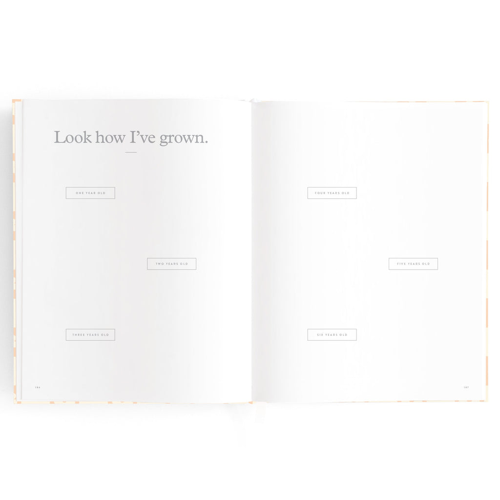 Baby Book Daisy Grid Boxed