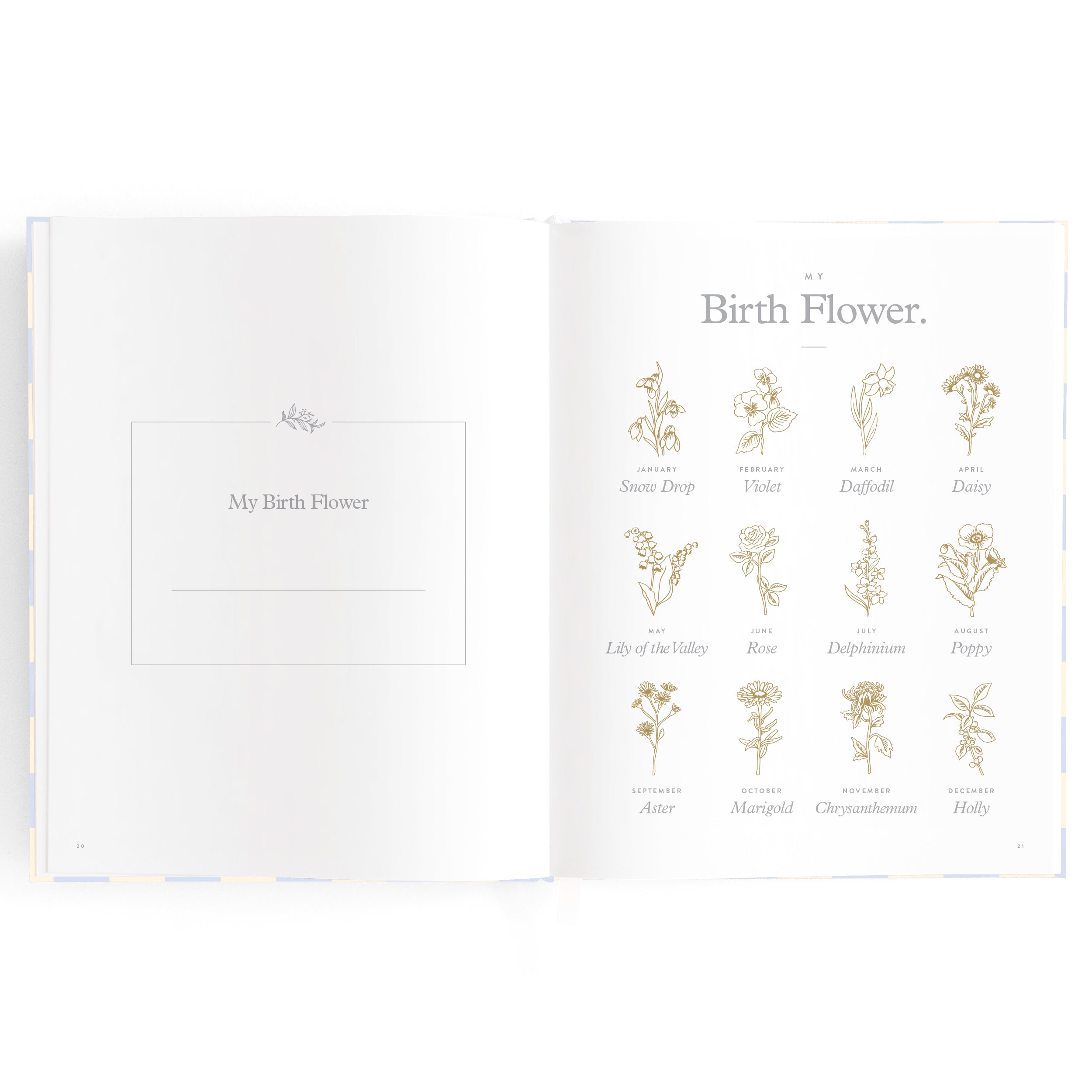 Baby Book Blue Check Boxed - 3rd Edition