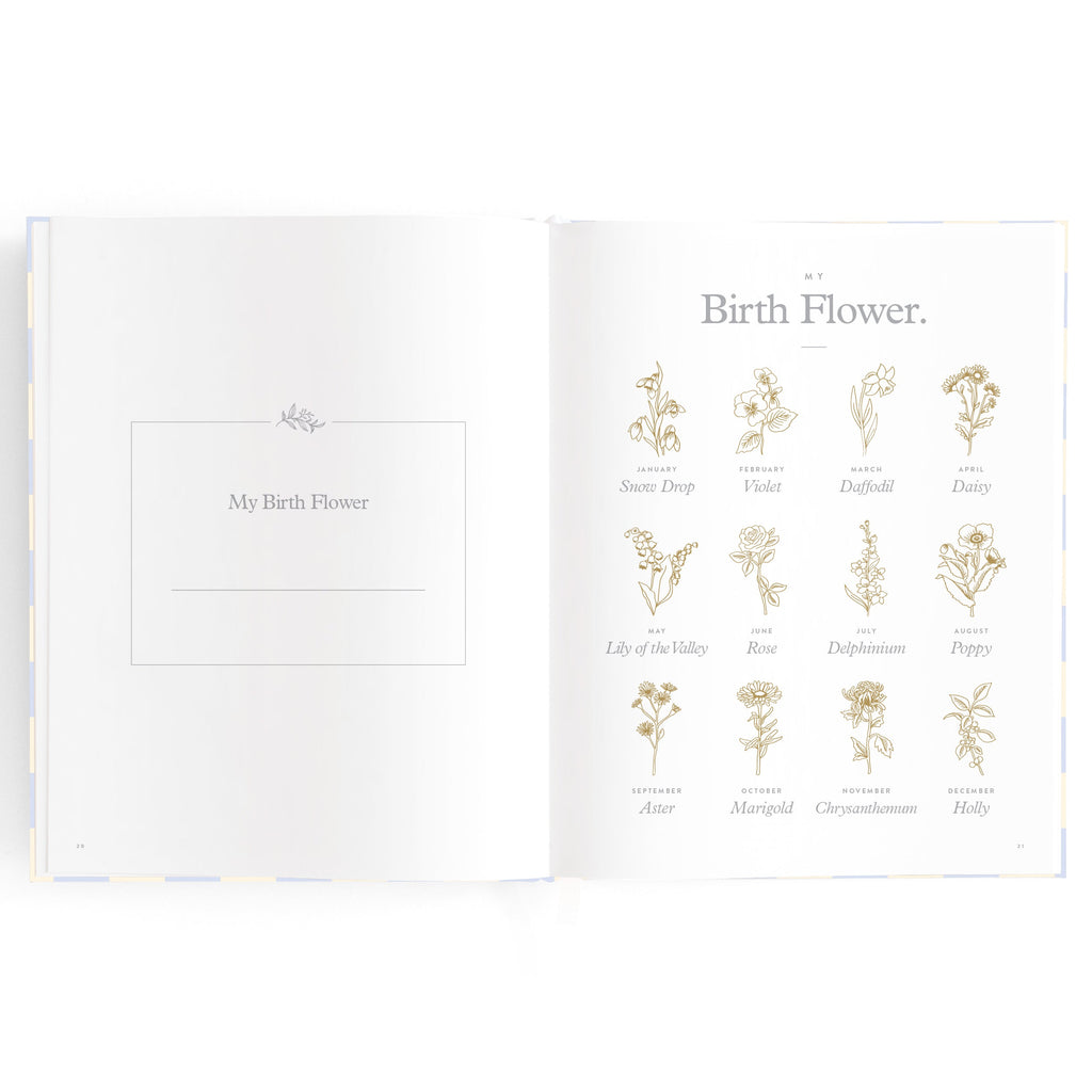 Baby Book Blue Check - 3rd Edition