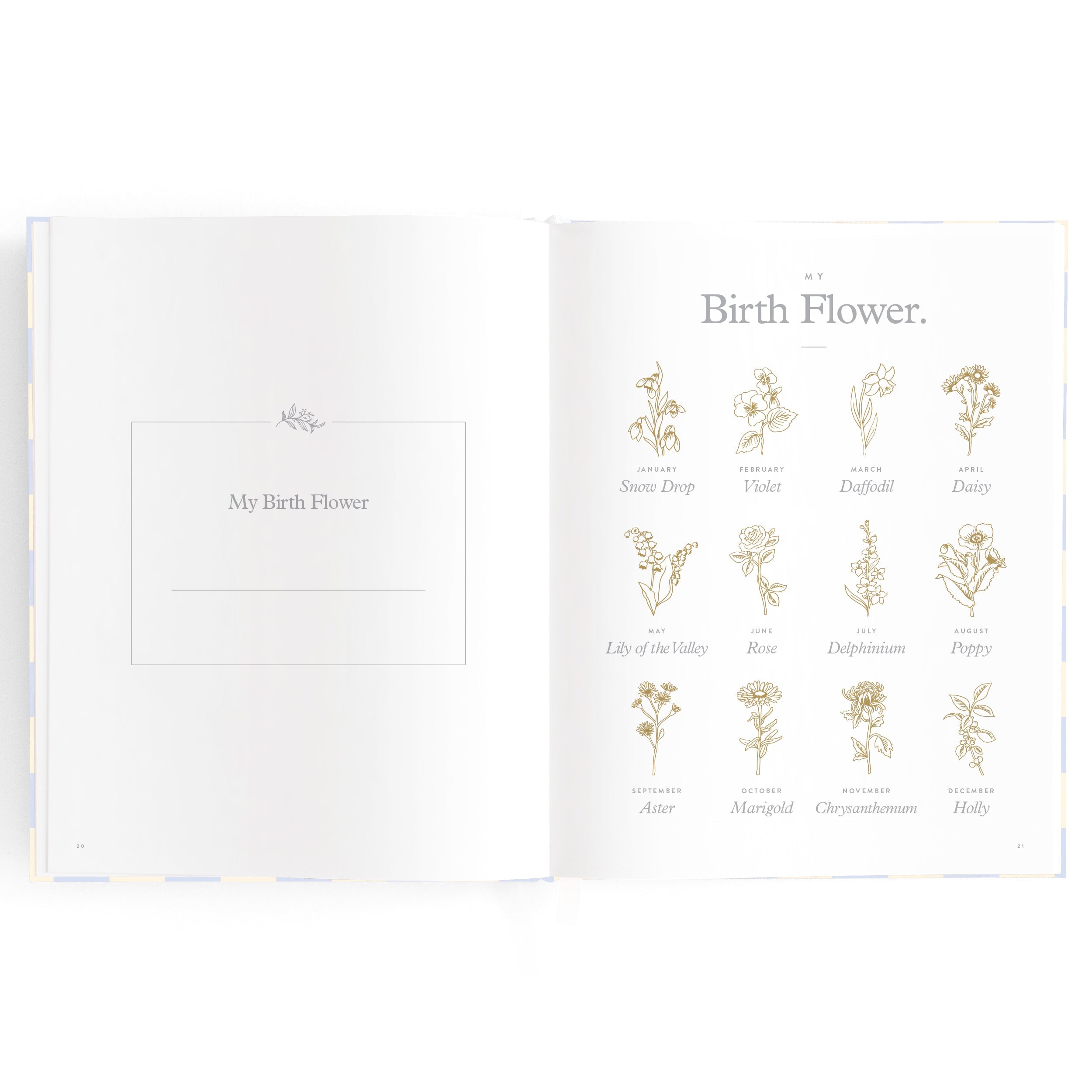 Baby Book Blue Check - 3rd Edition