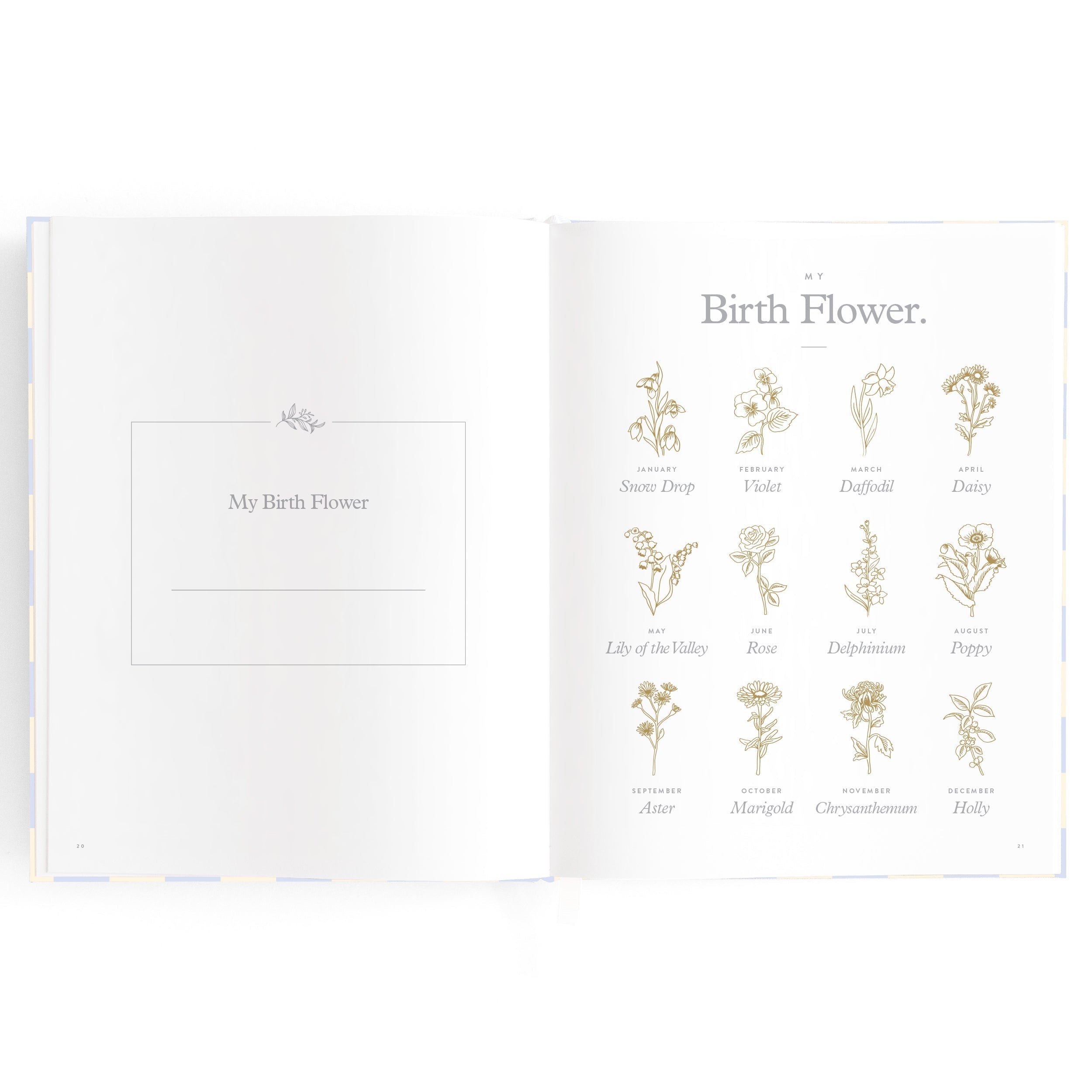 Baby Book Blue Check - SECONDS