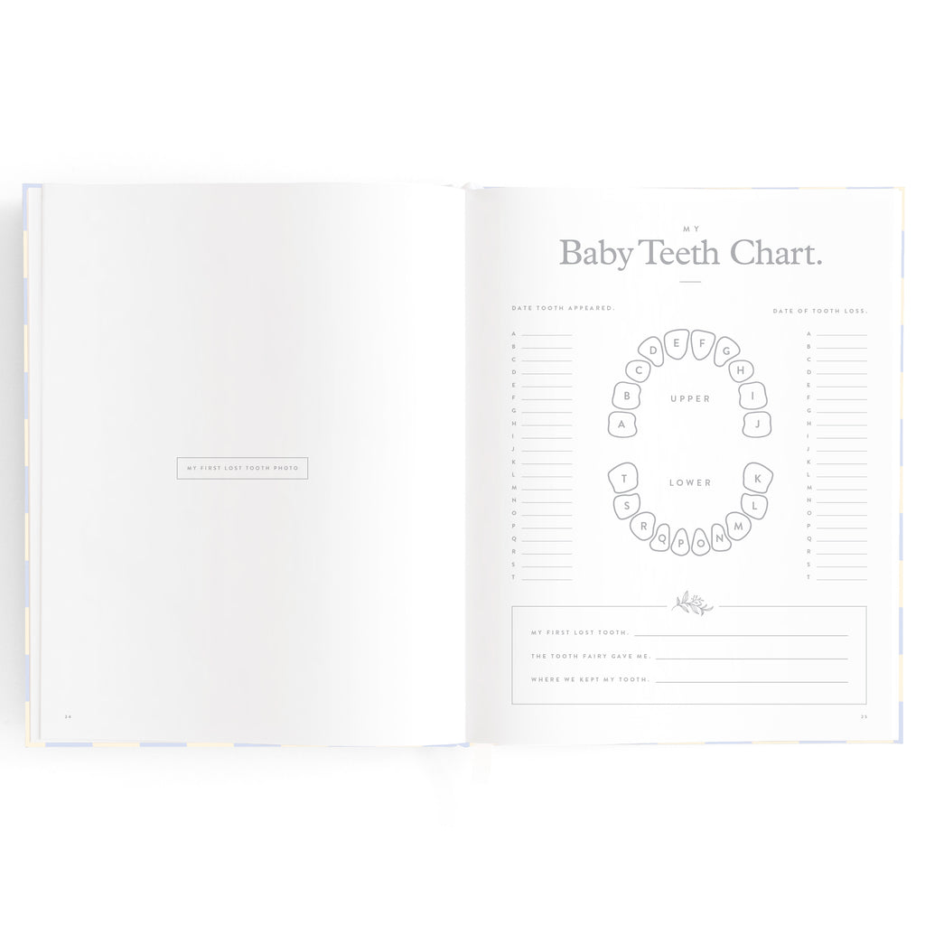 Baby Book Blue Check Boxed - 3rd Edition
