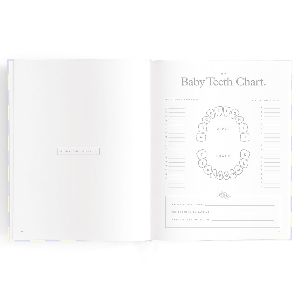 Baby Book Blue Check - 3rd Edition