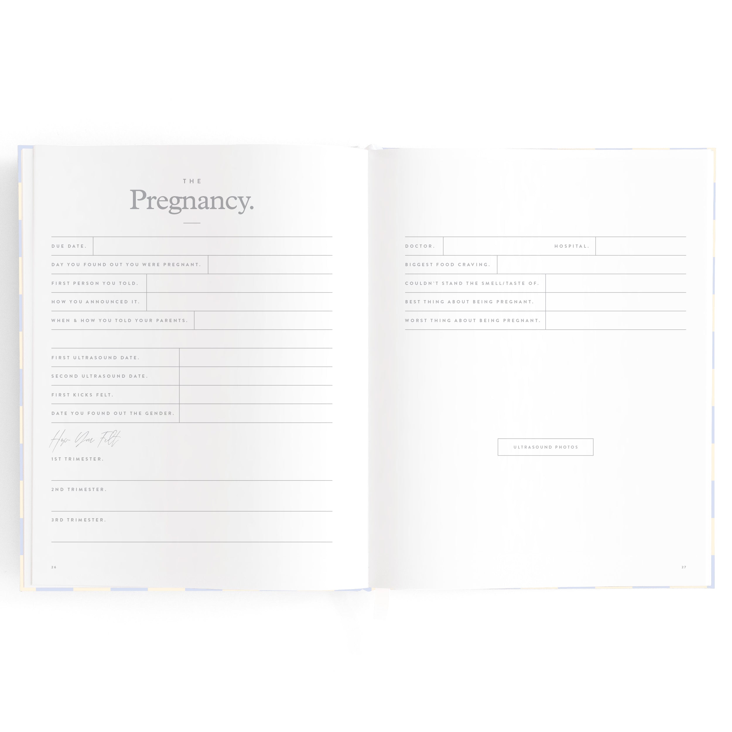 Baby Book Blue Check - 3rd Edition