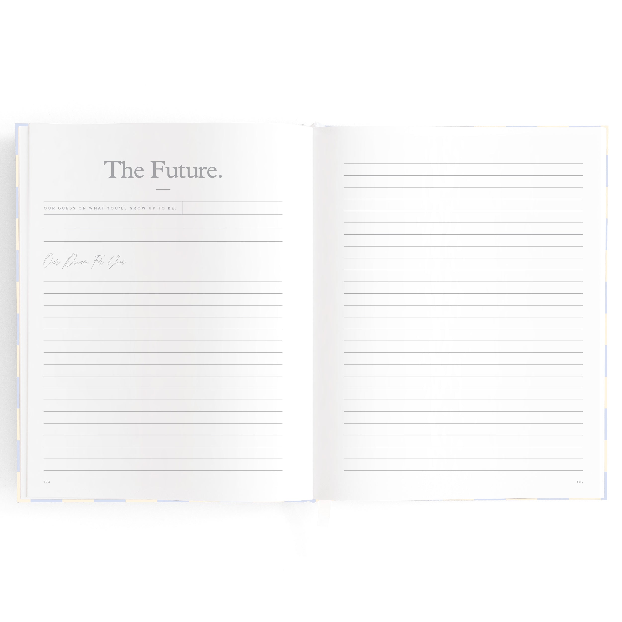 Baby Book Blue Check - SECONDS