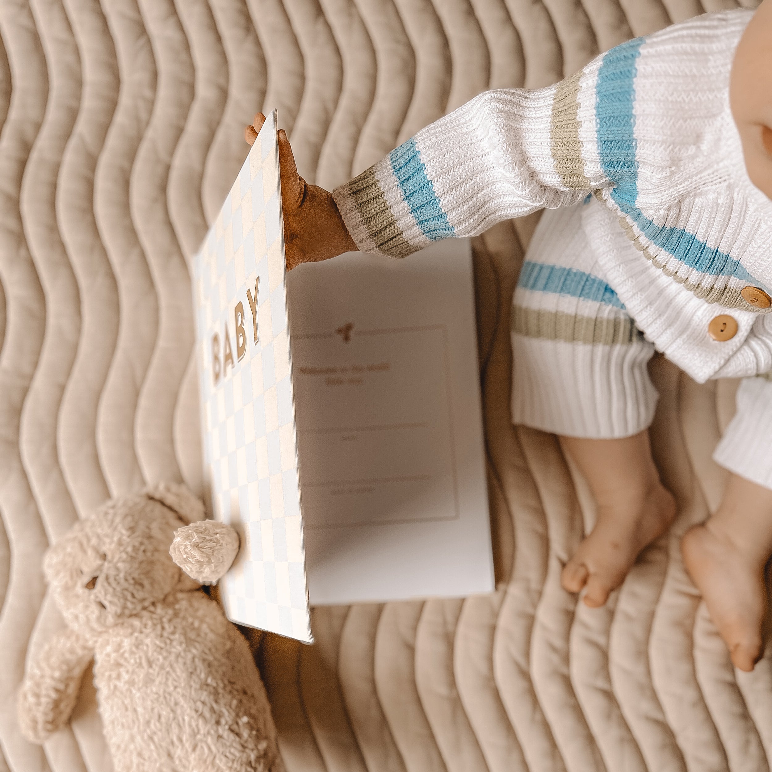 Baby Book Blue Check - 3rd Edition