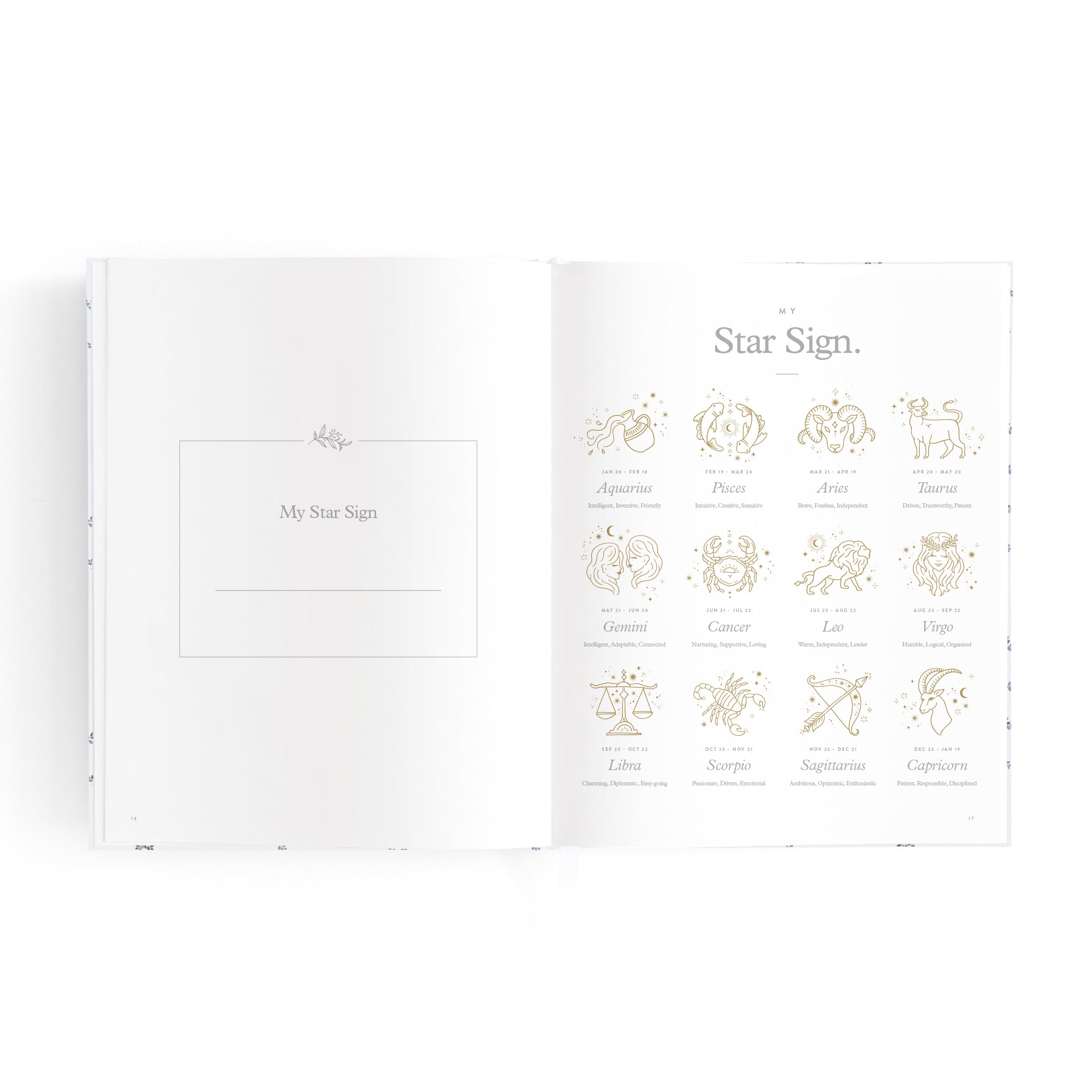 Mini Baby Book Bluebell Boxed