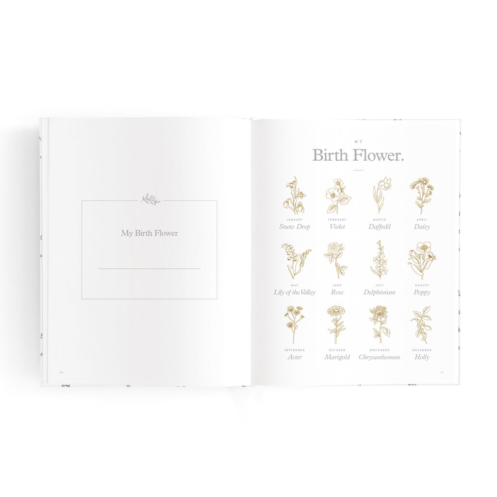 Mini Baby Book Bluebell