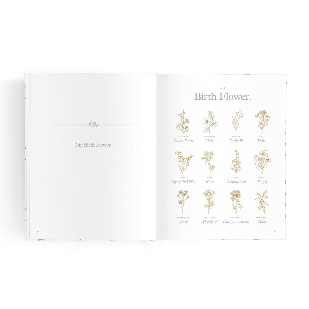 Mini Baby Book Bluebell Boxed