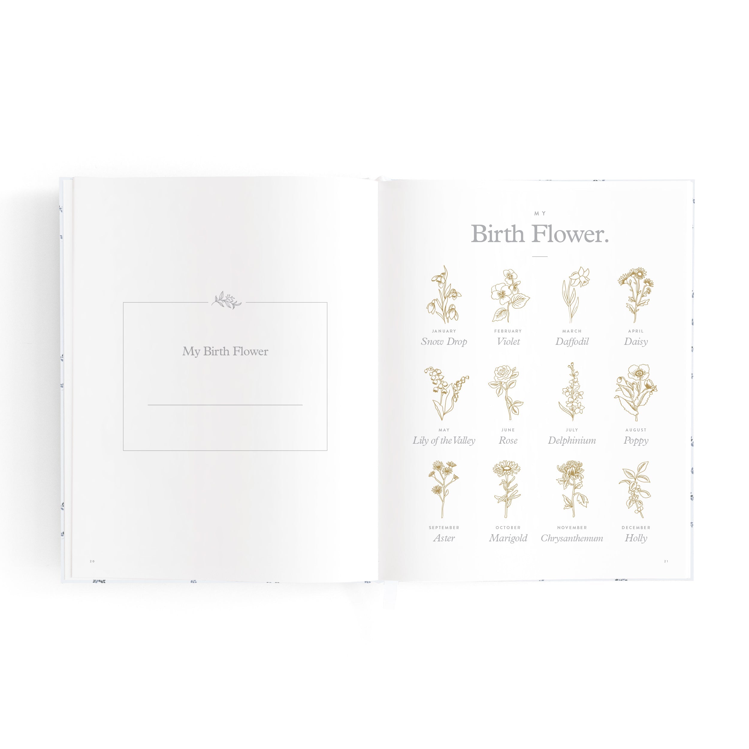 Mini Baby Book Bluebell Boxed