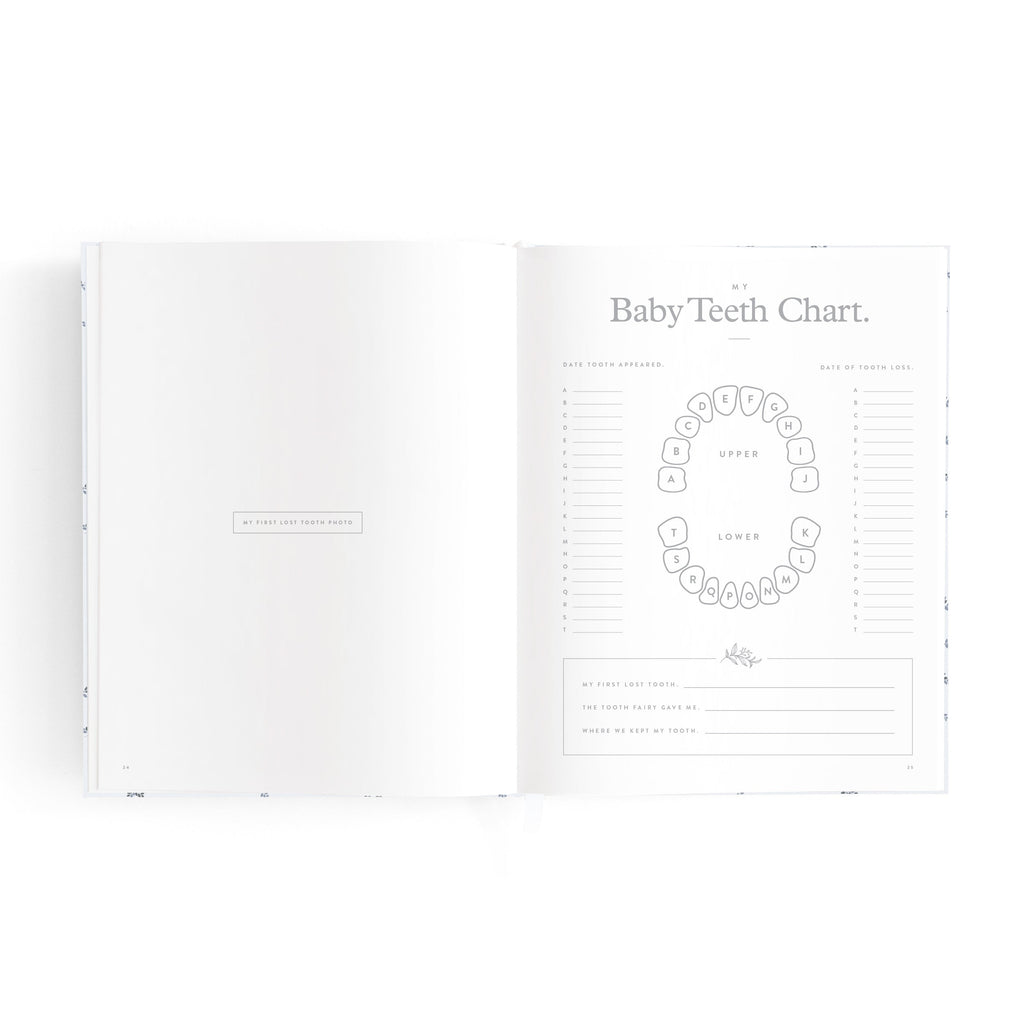 Mini Baby Book Bluebell Boxed
