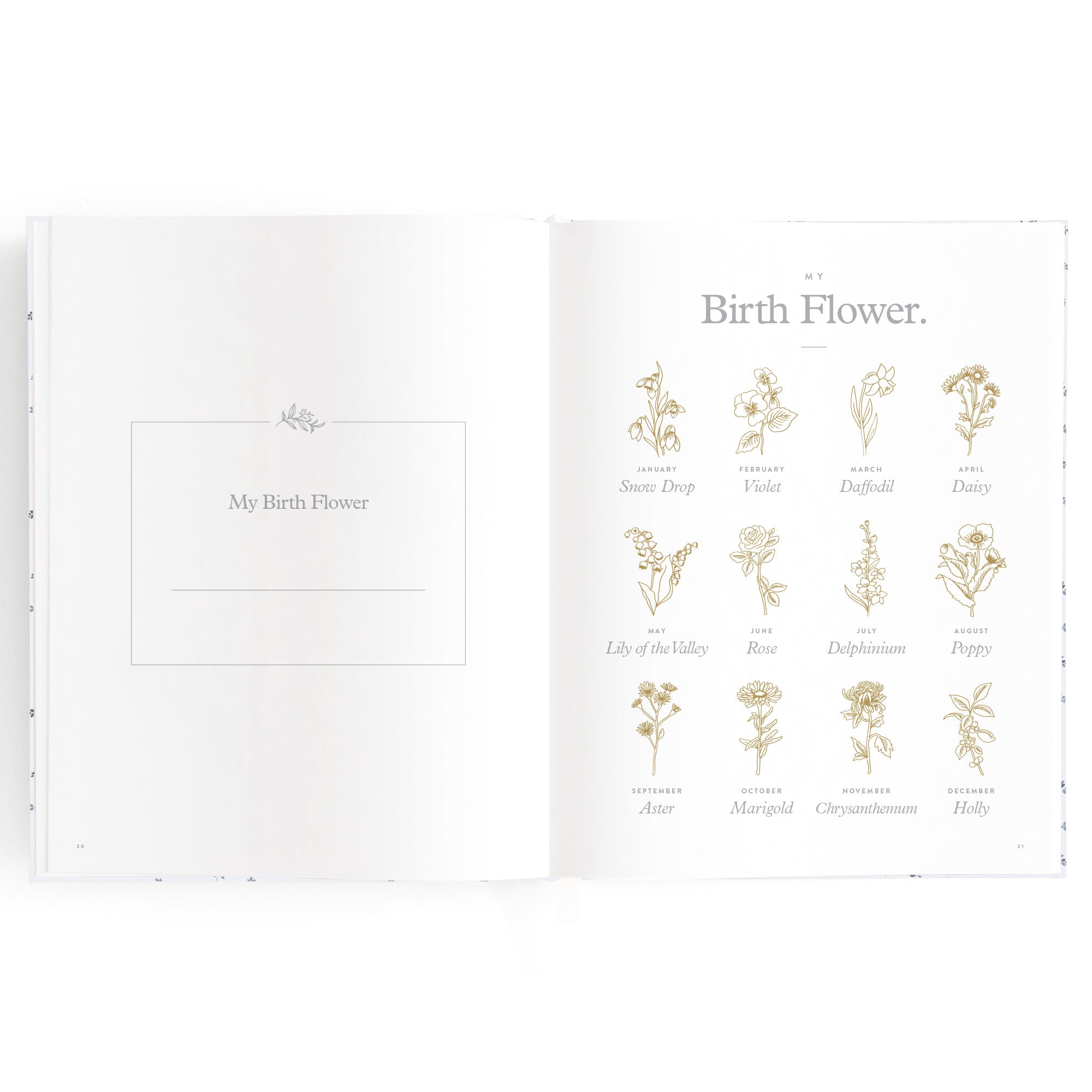 Baby Book Bluebell Boxed