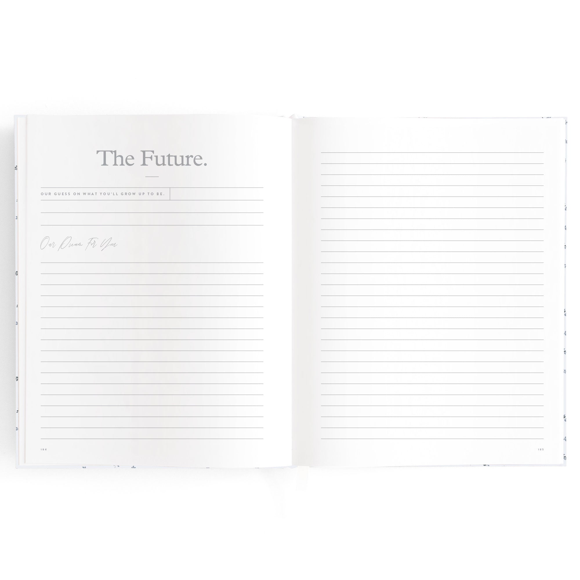 Baby Book Bluebell Boxed