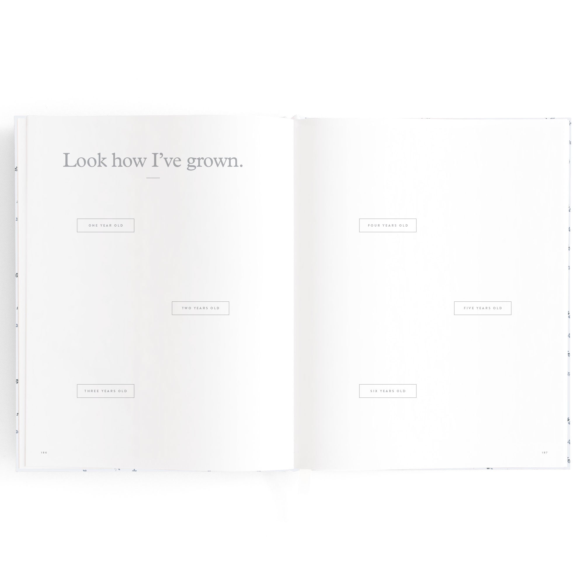 Baby Book Bluebell Boxed