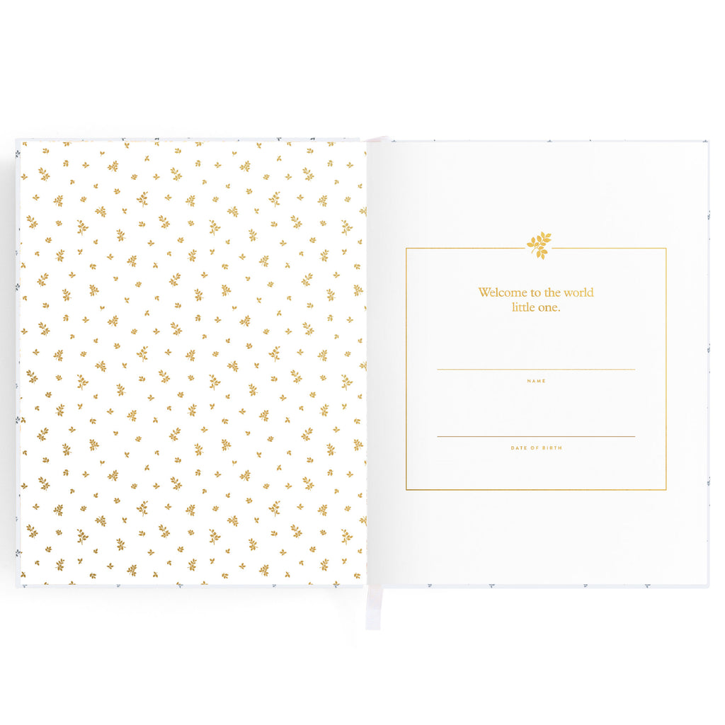 Baby Book Bluebell Boxed