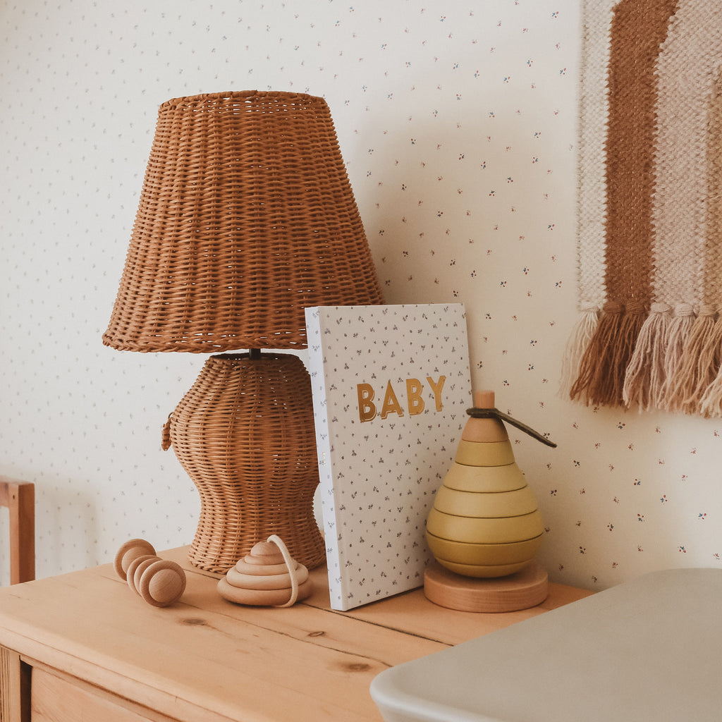 Baby Book Bluebell Boxed