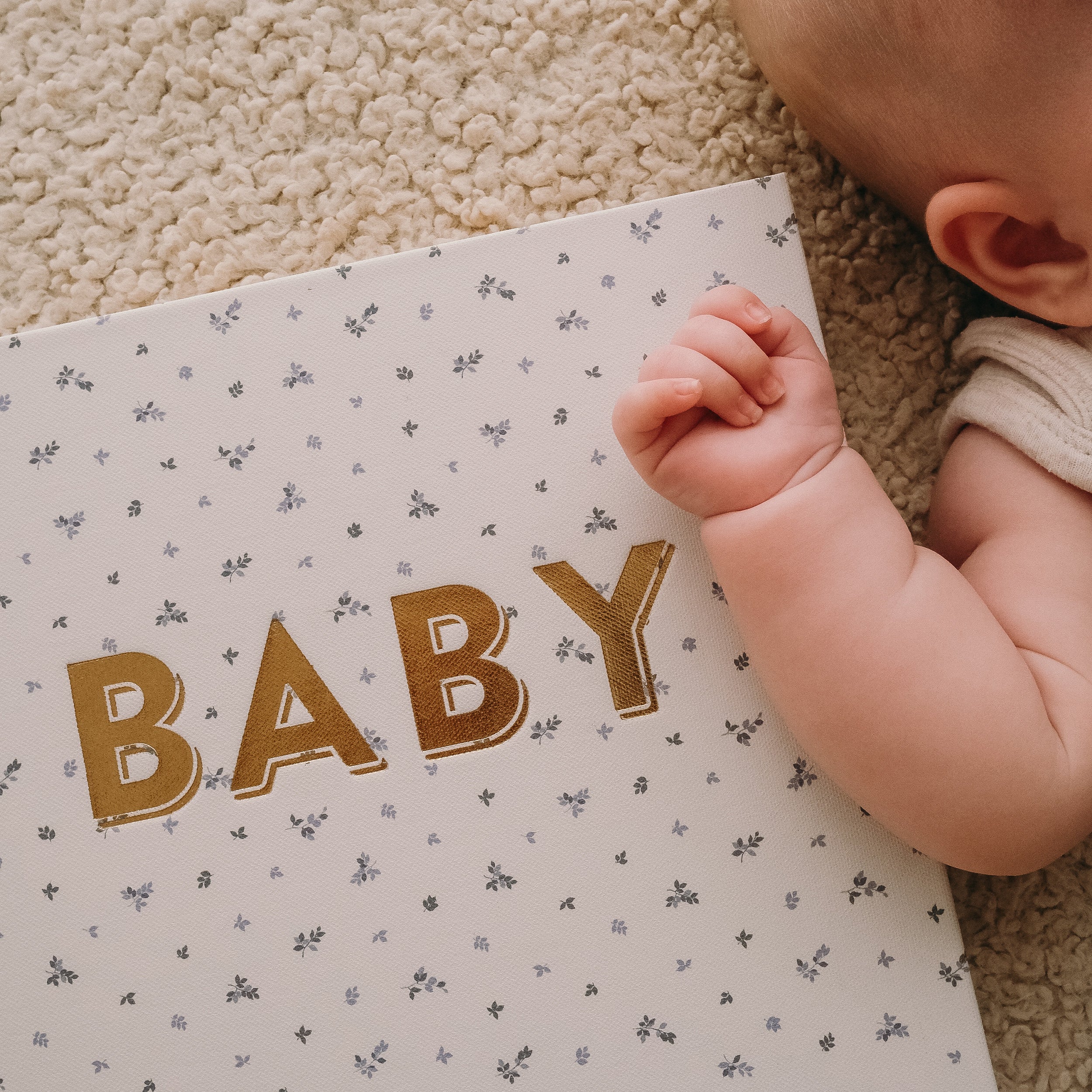 Baby Book Bluebell Boxed