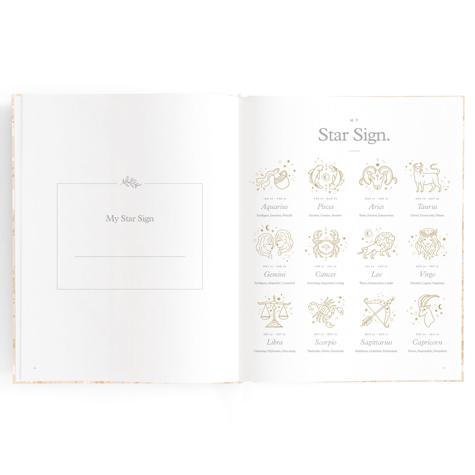 Baby Book Forest Friends Maple - SECONDS