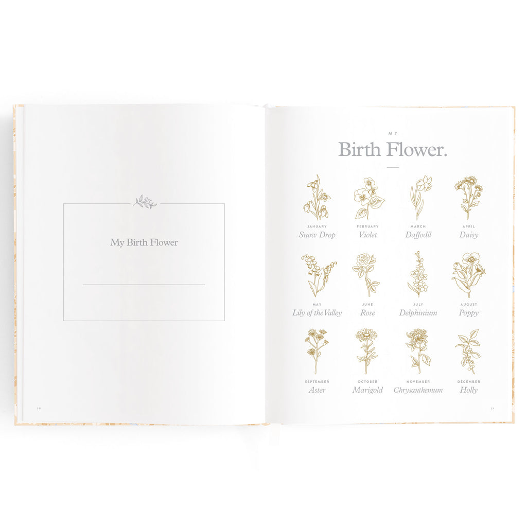 Baby Book Forest Friends Maple - SECONDS