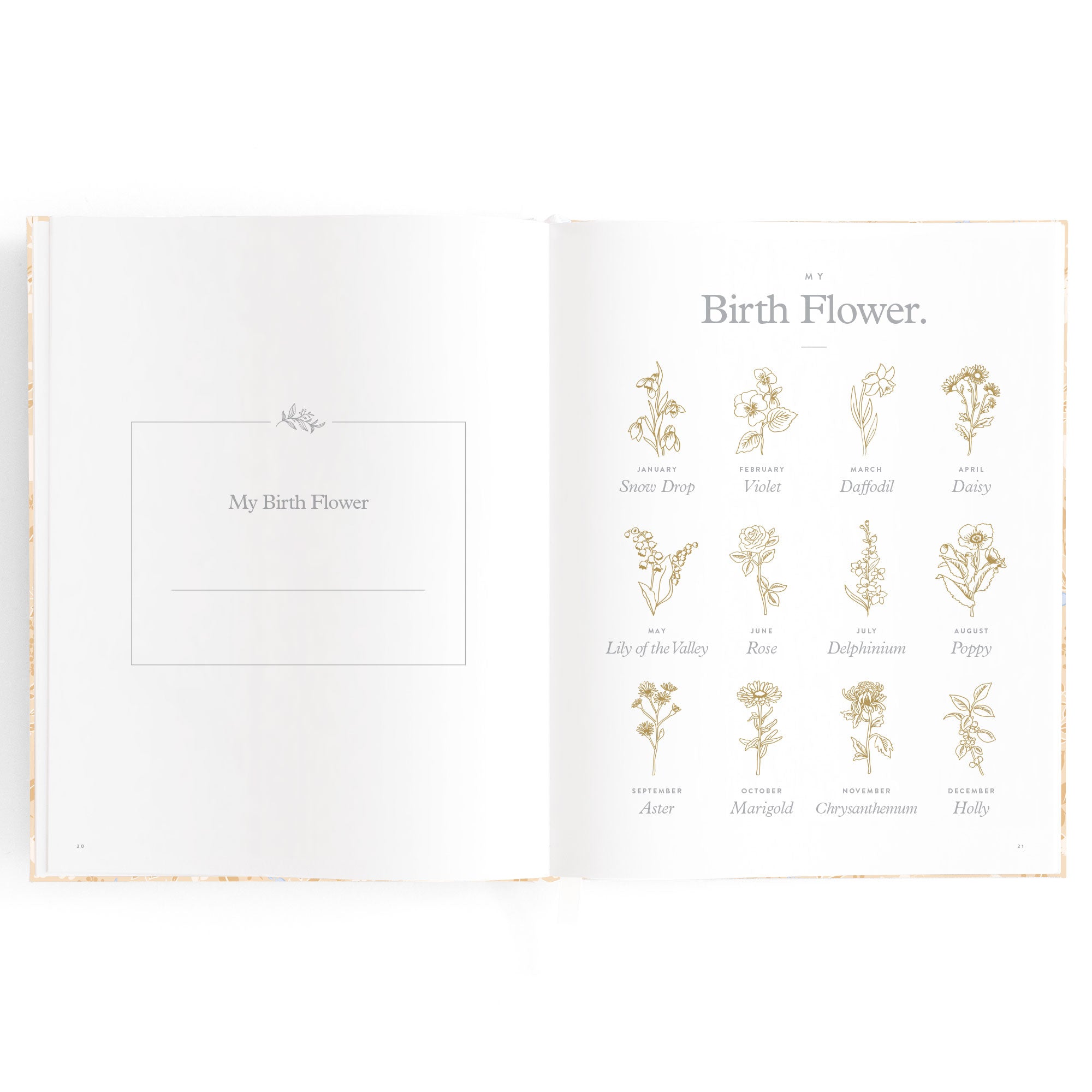Baby Book Forest Friends Maple - SECONDS