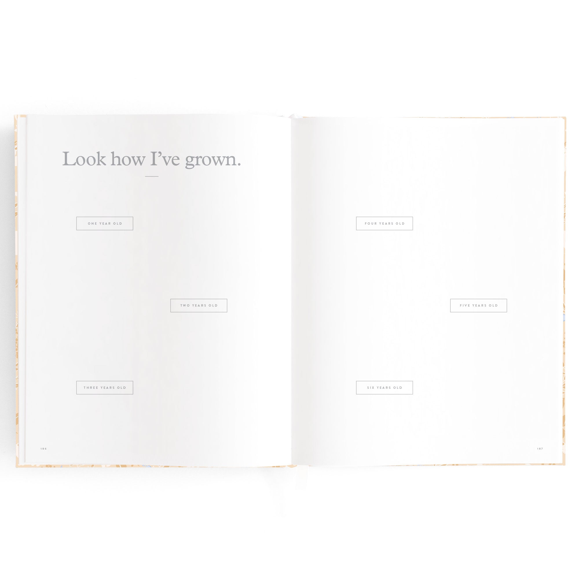 Baby Book Forest Friends Maple - SECONDS