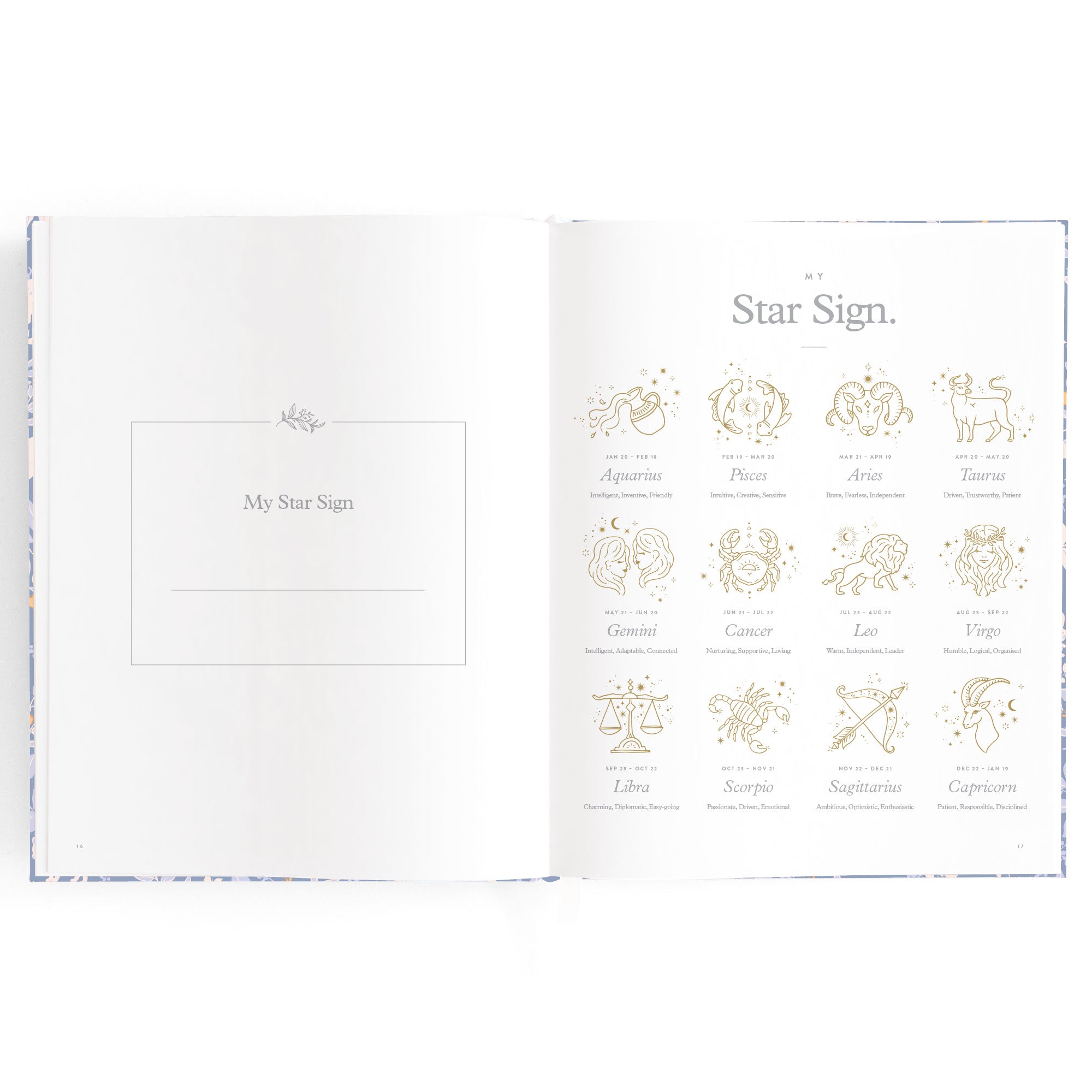 Baby Book Forest Friends Cornflower Boxed