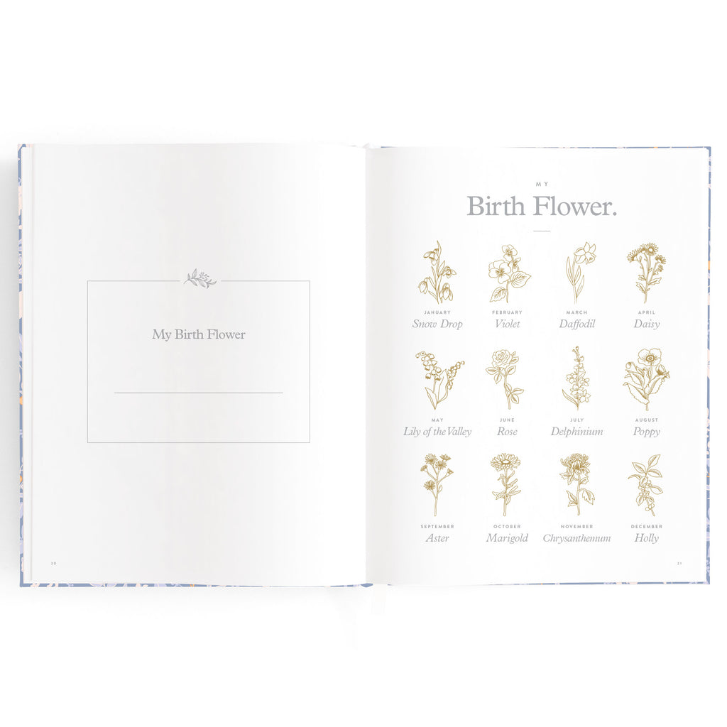 Baby Book Forest Friends Cornflower Boxed