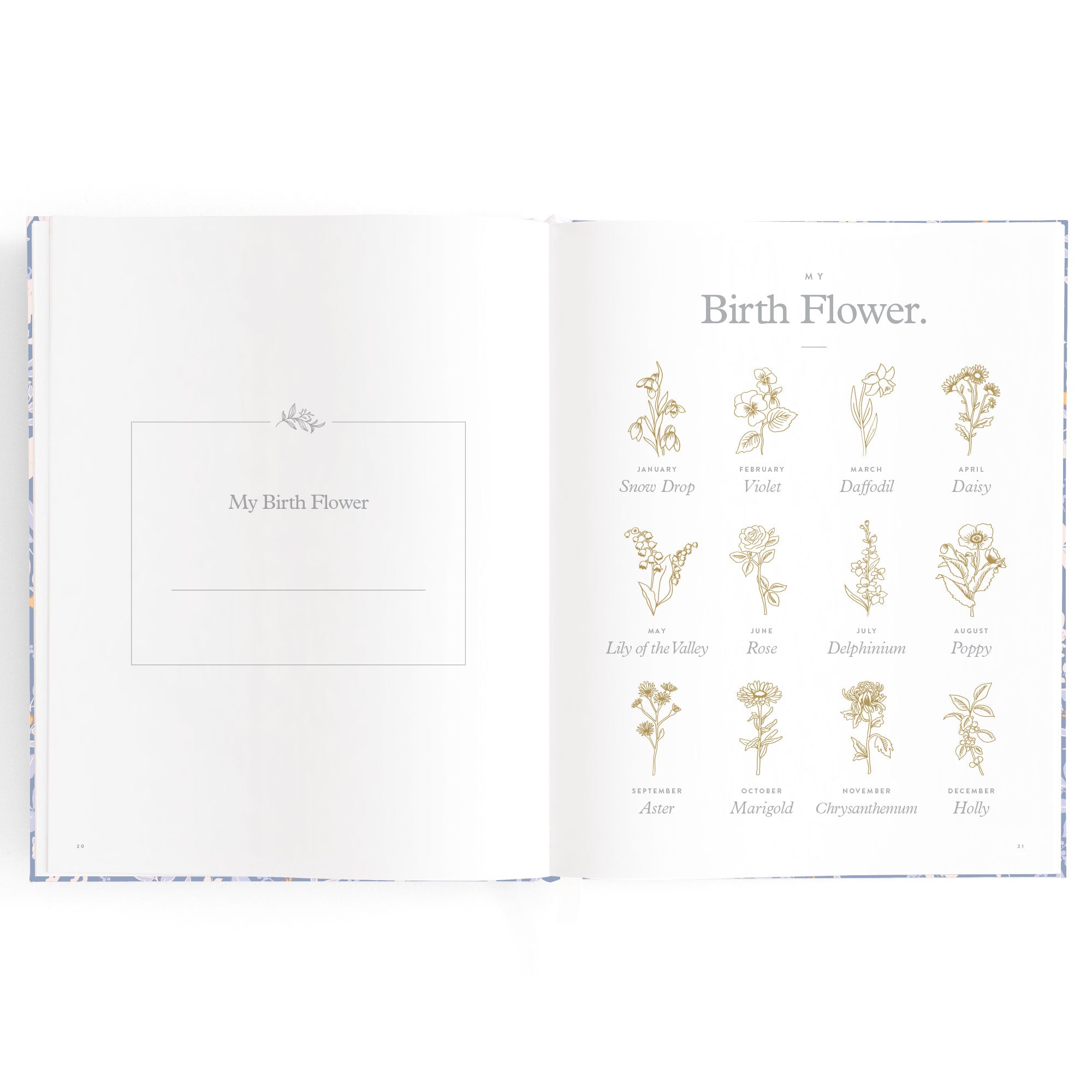 Baby Book Forest Friends Cornflower Boxed