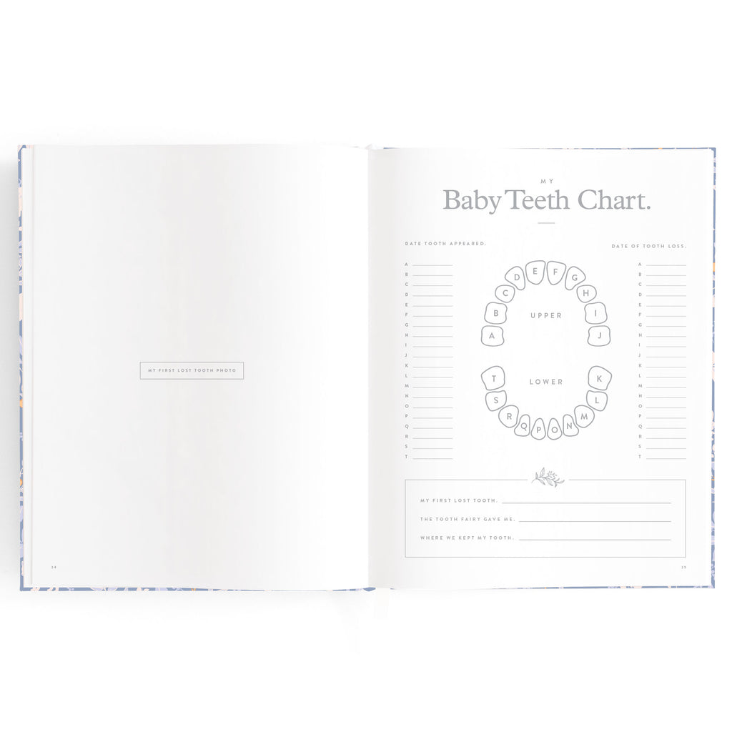 Baby Book Forest Friends Cornflower Boxed