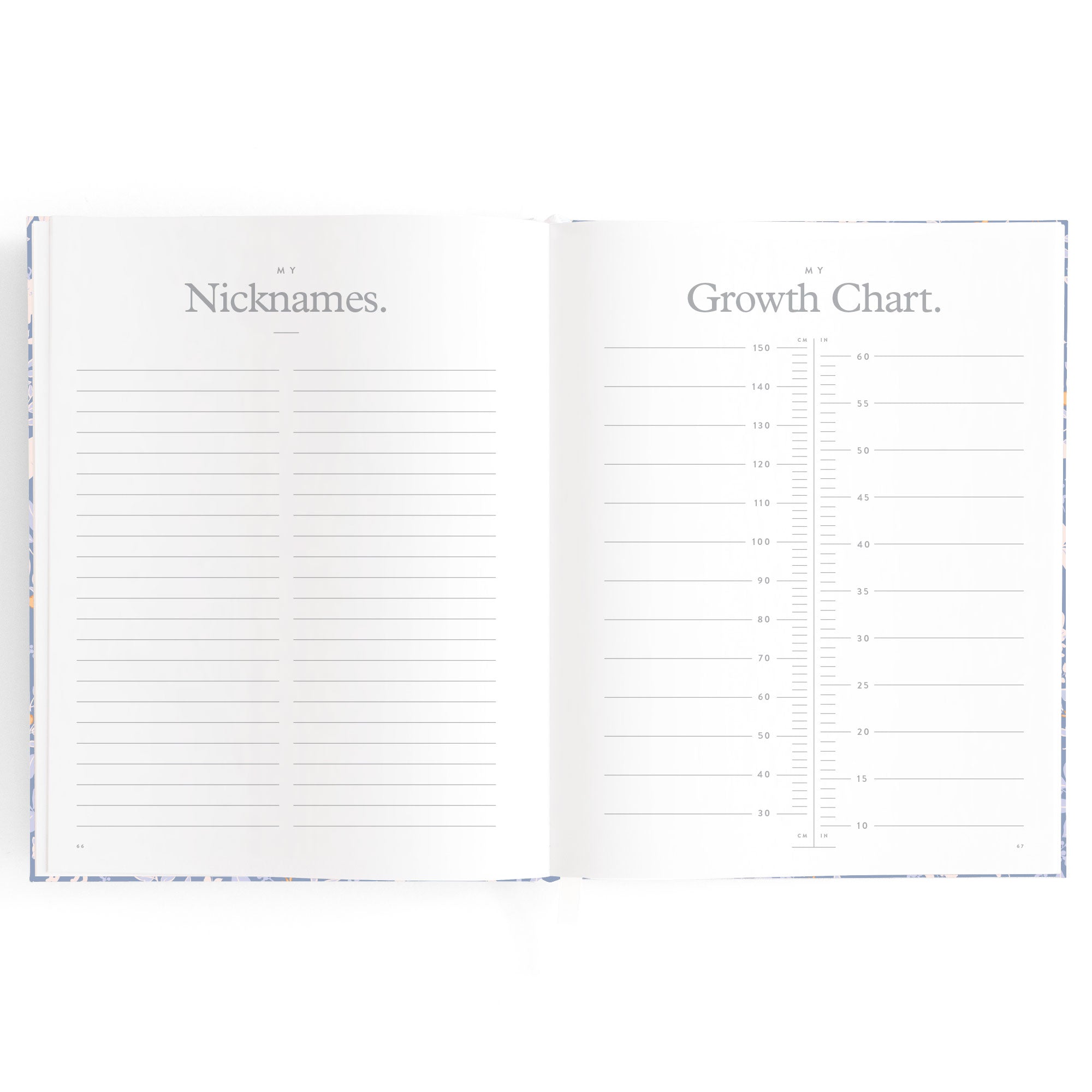 Baby Book Forest Friends Cornflower Boxed