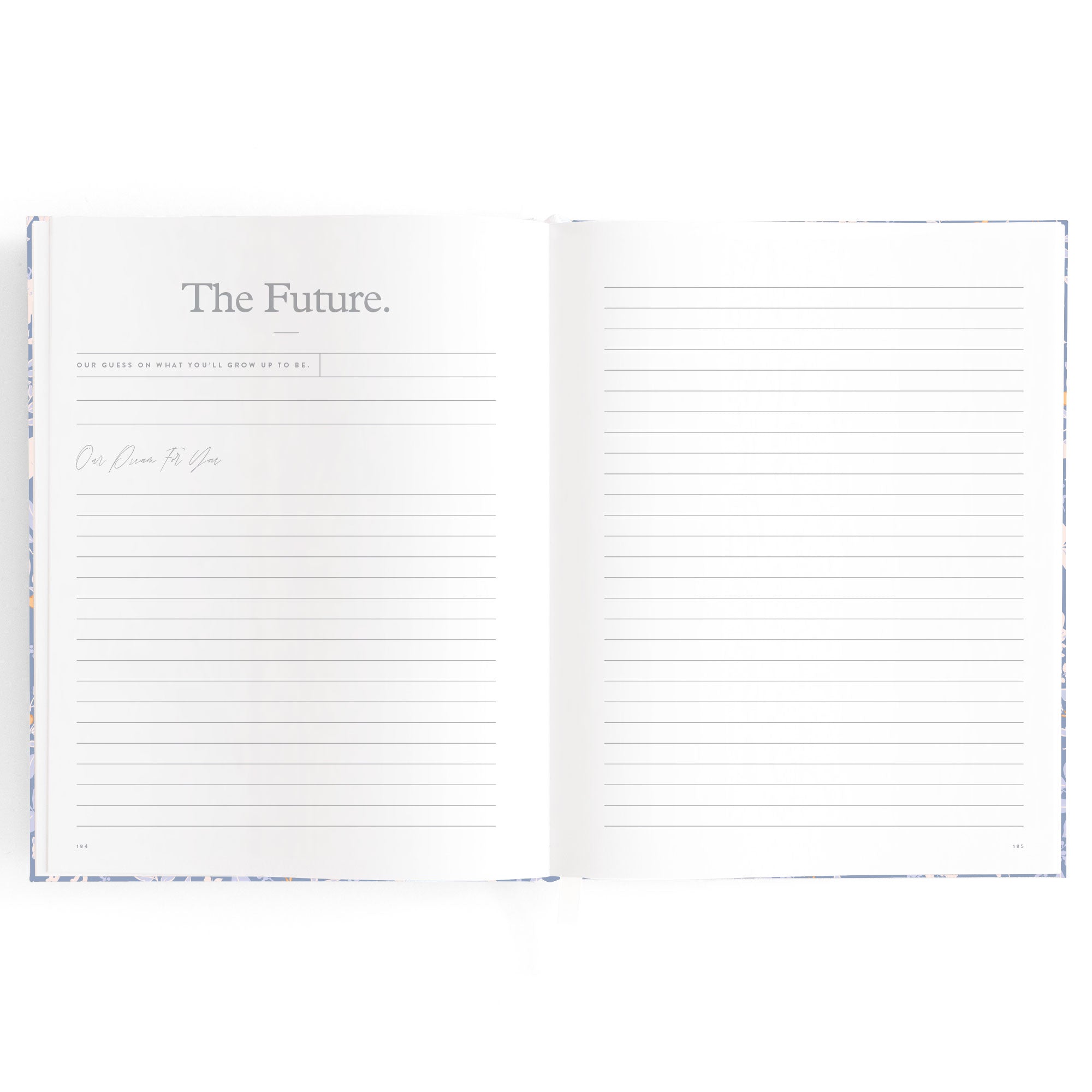 Baby Book Forest Friends Cornflower Boxed