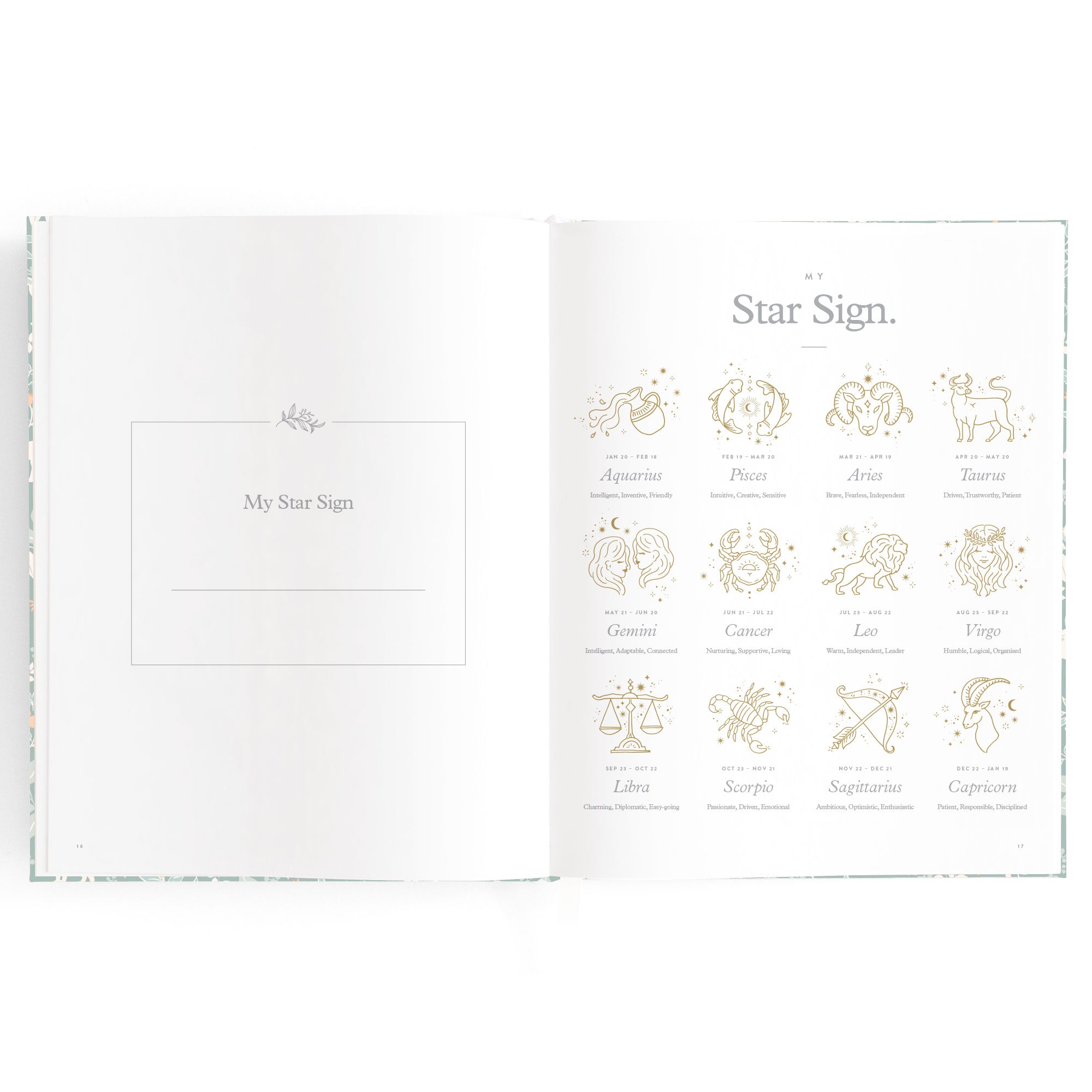 Baby Book Forest Friends Sage Boxed