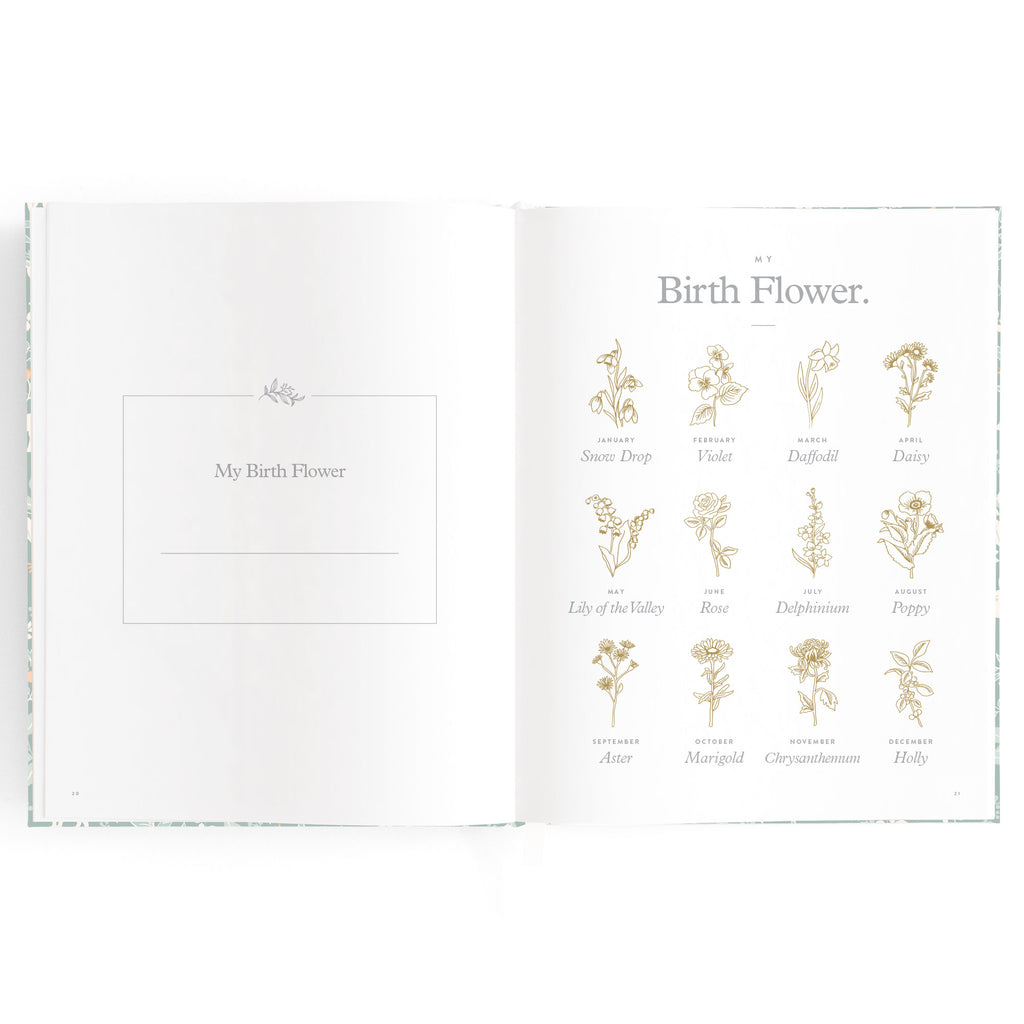 Baby Book Forest Friends Sage Boxed